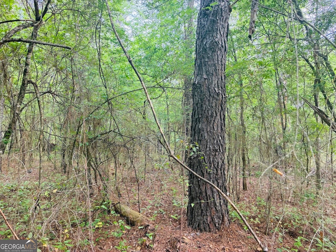 agriculture sold at 0 Wall Street TRACT A, Tallassee, AL 36078