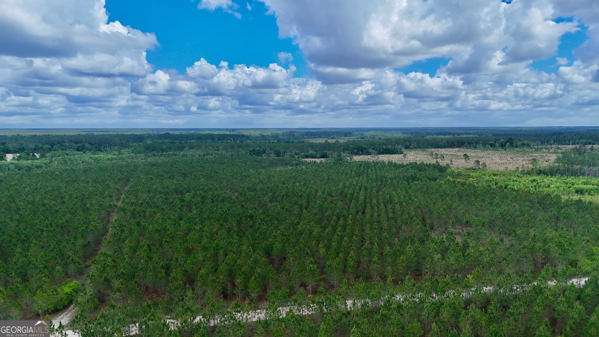 agriculture sold at 20 AC Owens Road, Odum, GA 31555
