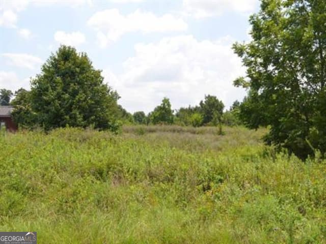 unimproved land for sale at 0 Gunn Road, Byron, GA 31008
