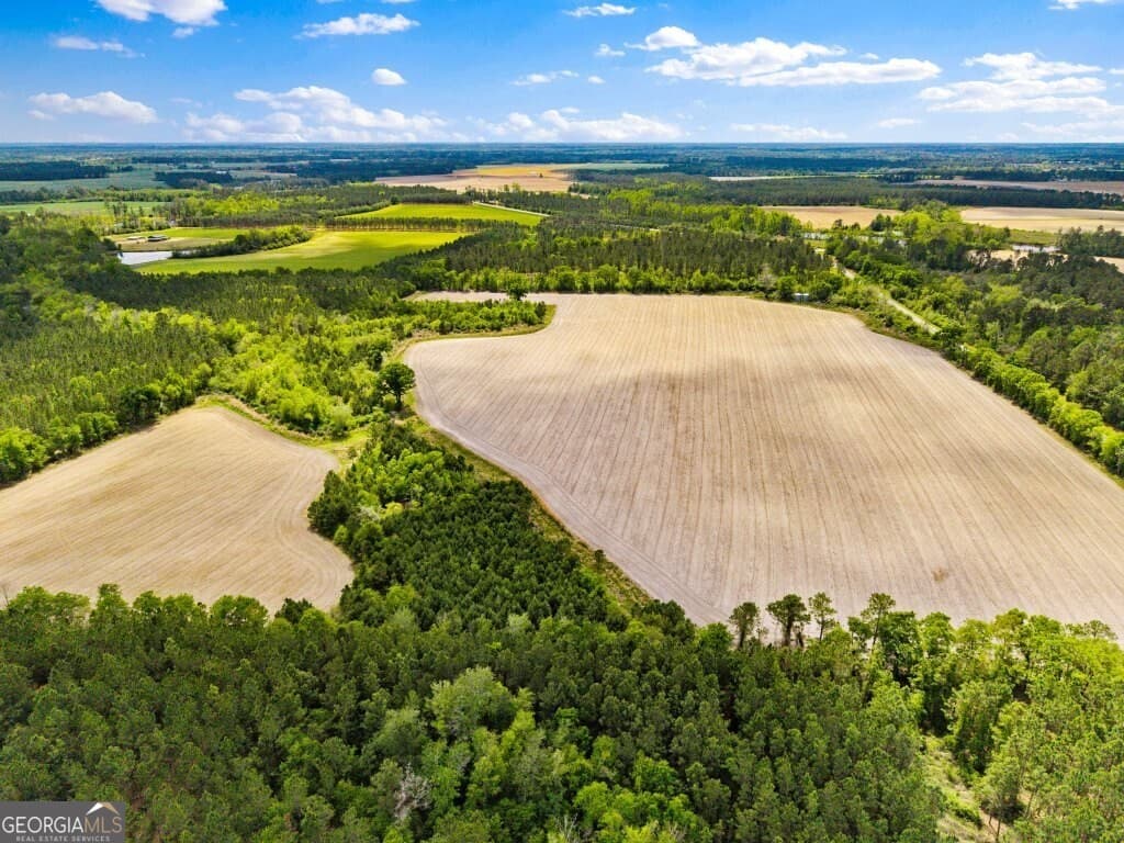 agriculture sold at 0 Minnie Gidden Road, Lenox, GA 31637