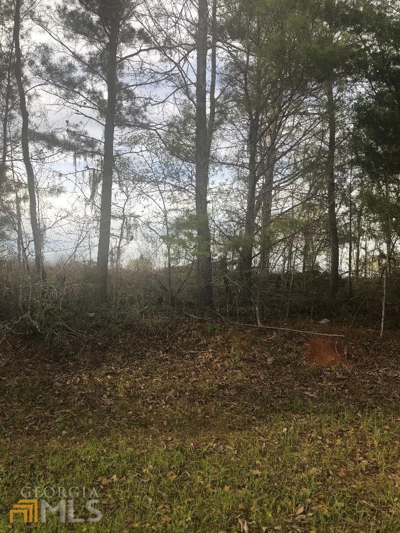 residential lot for sale at 0 Crabapple Drive, Hawkinsville, GA 31036