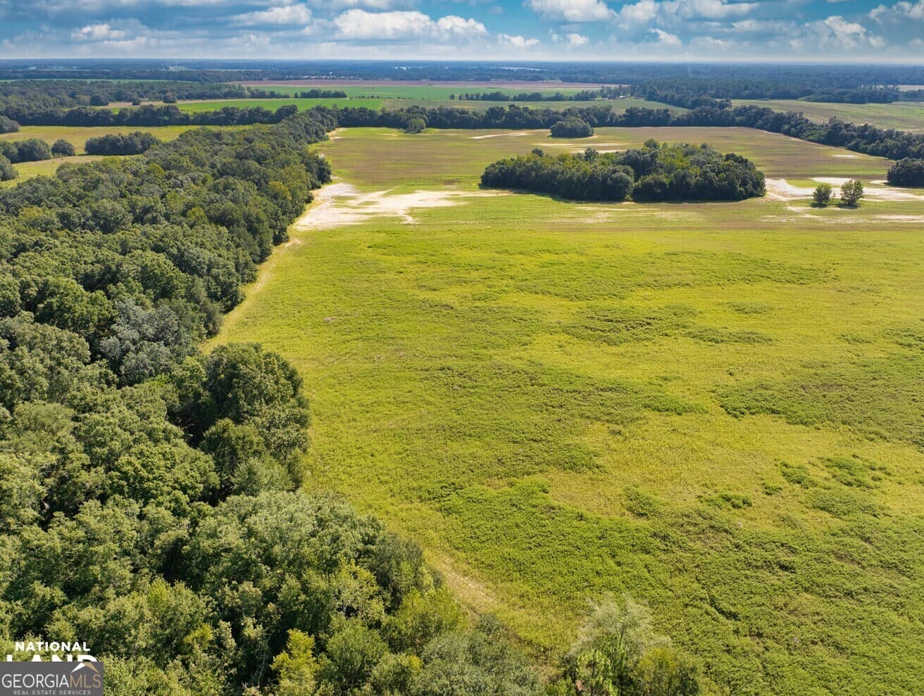 agriculture sold at 0 Grace Miller Road, Newton, GA 39870