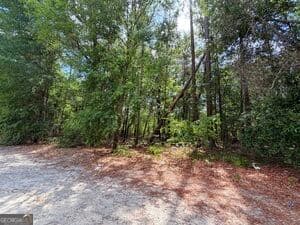 residential lot for sale at 0 Lakeview Drive, Alamo, GA 30411