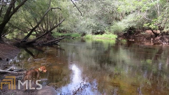 agriculture for sale at 0 Area Line Road, Claxton, GA 30417