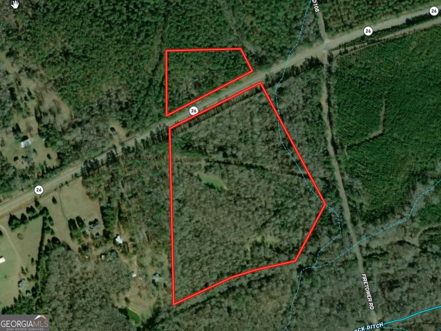 unimproved land for sale at 31+/- AC Highway 26, Buena Vista, GA 31803