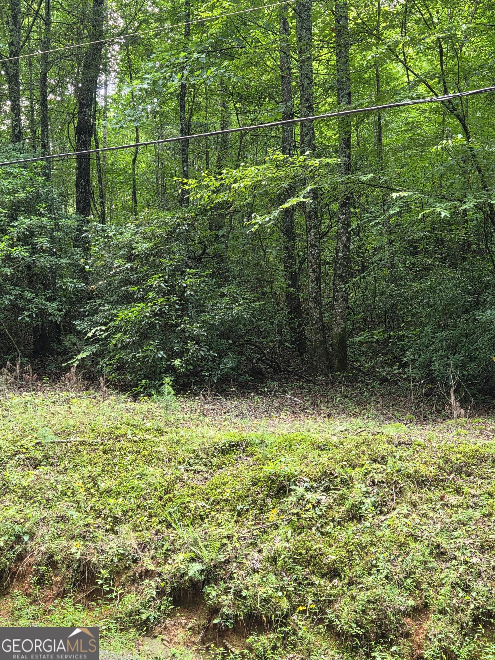 agriculture for sale at 0 Chopped Oak, Ellijay, GA 30540