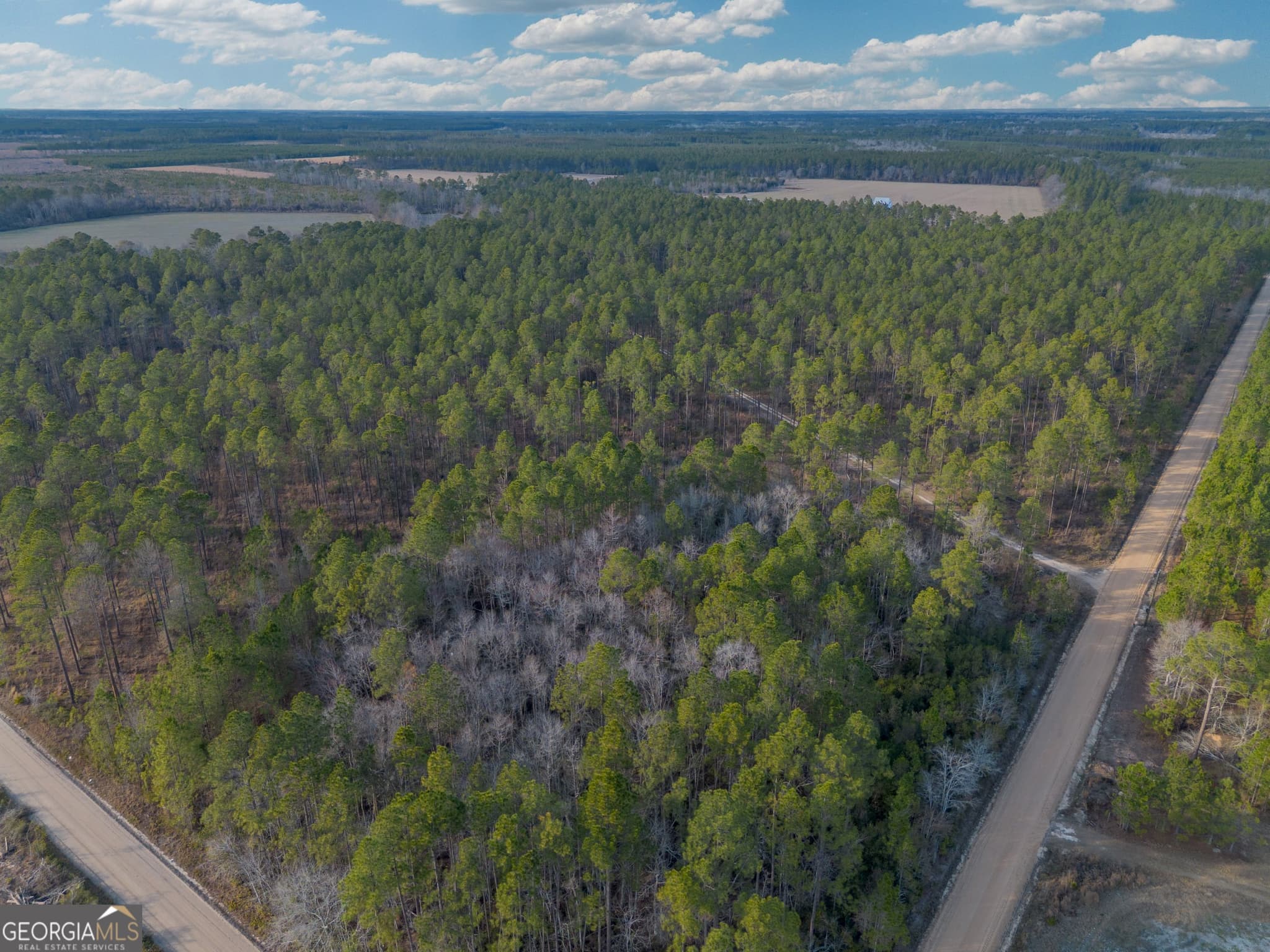 agriculture sold at TRACT 5 Reddish Road, Odum, GA 31555