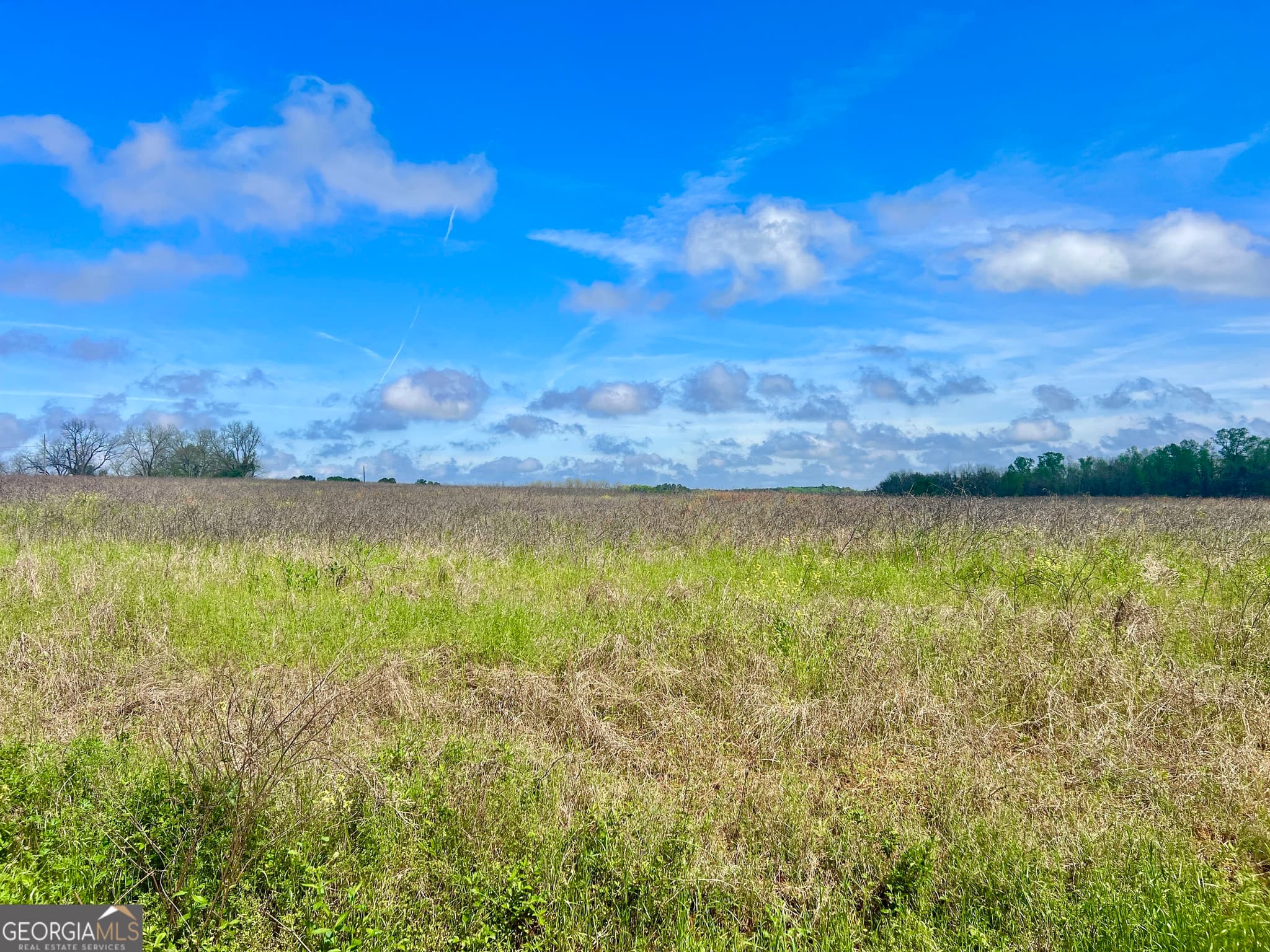 agriculture sold at 0 Steve Jackson Road, Unadilla, GA 31091