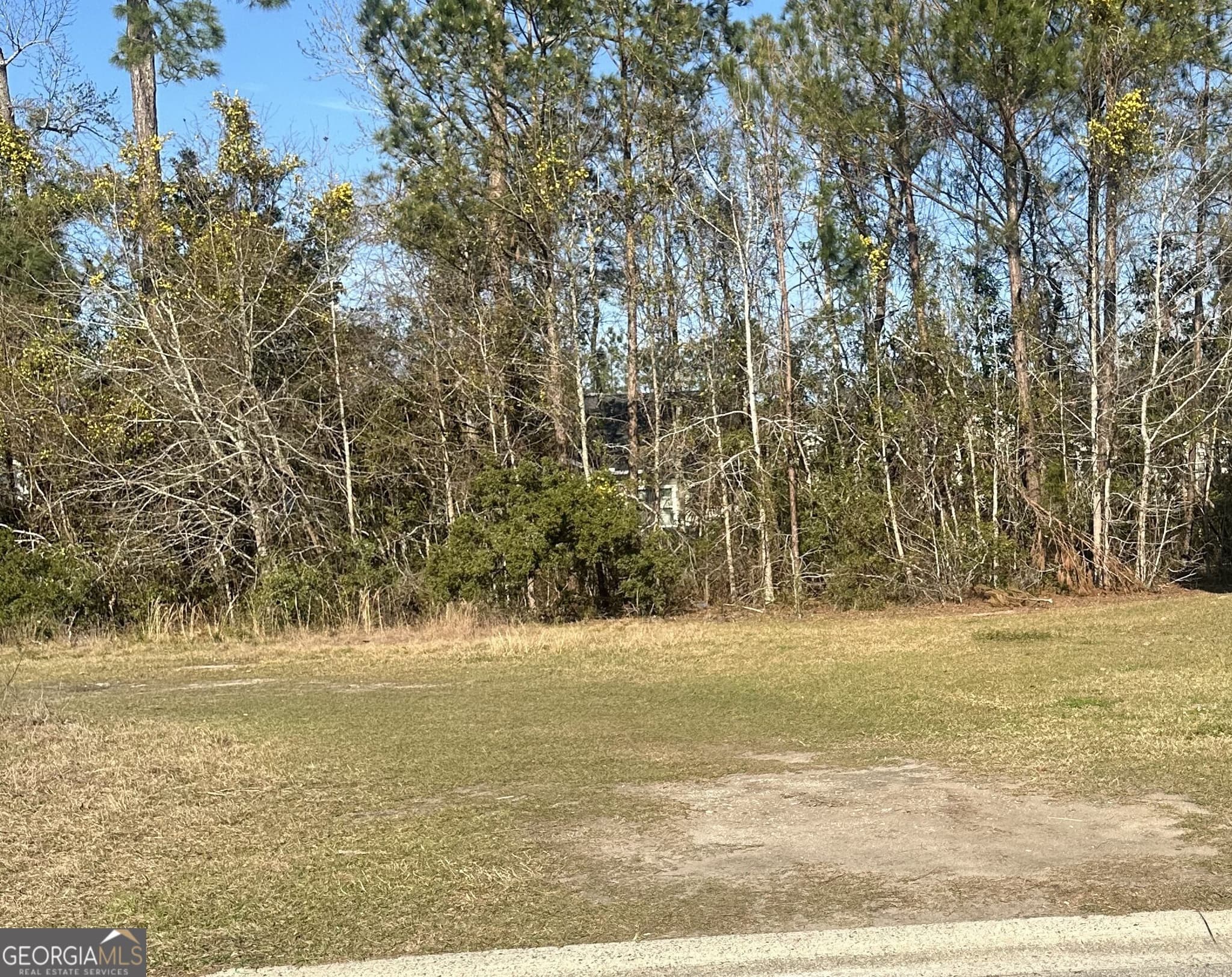 residential lot for sale at 60 Powers Landing, Brunswick, GA 31525