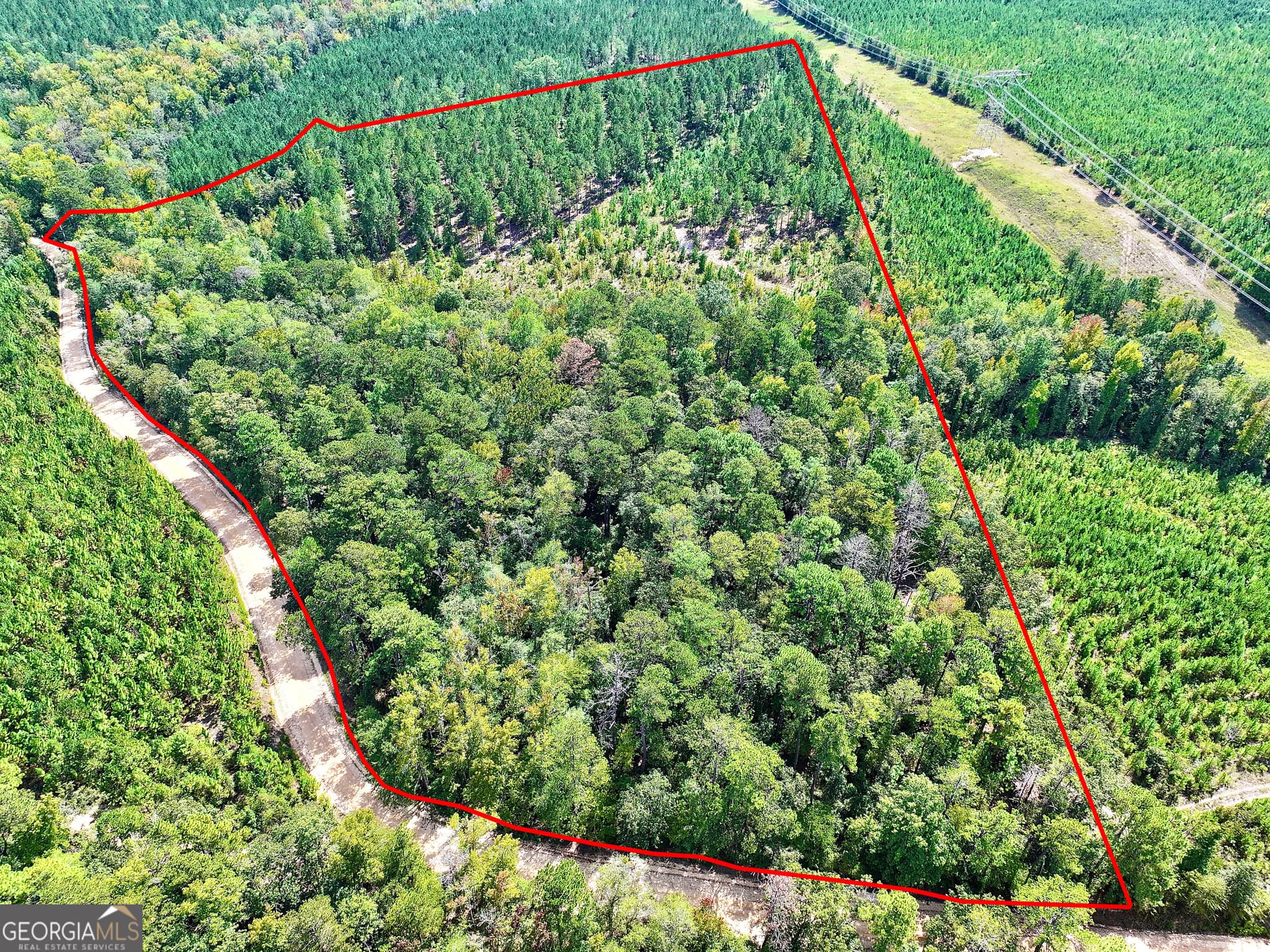 agriculture sold at 1000 Union Church Road, Warthen, GA 31094