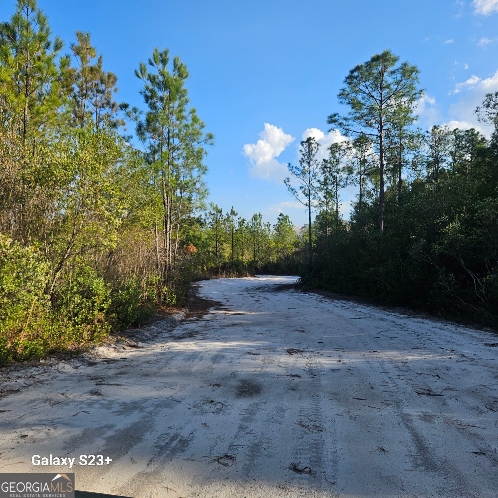 0 Mill Branch Club Rd 1G, Pembroke, GA 31321 — most recent listing photo