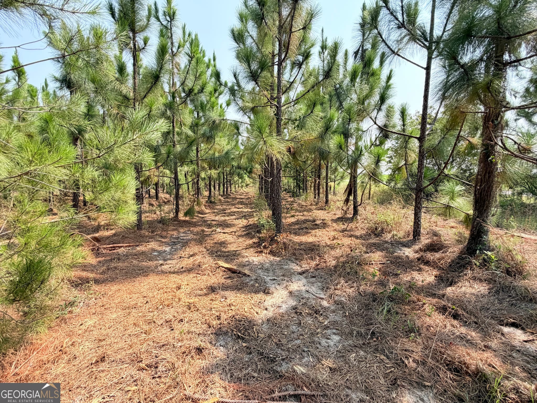residential lot for sale at 0 Erick Road, Alamo, GA 30411