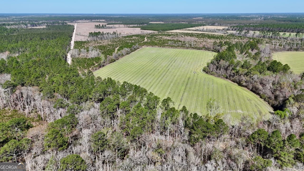 agriculture for sale at TRACT 6 Ingram Road, Odum, GA 31555