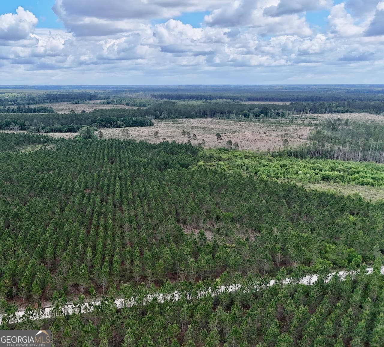 agriculture for sale at 17 AC Owens Road, Odum, GA 31555