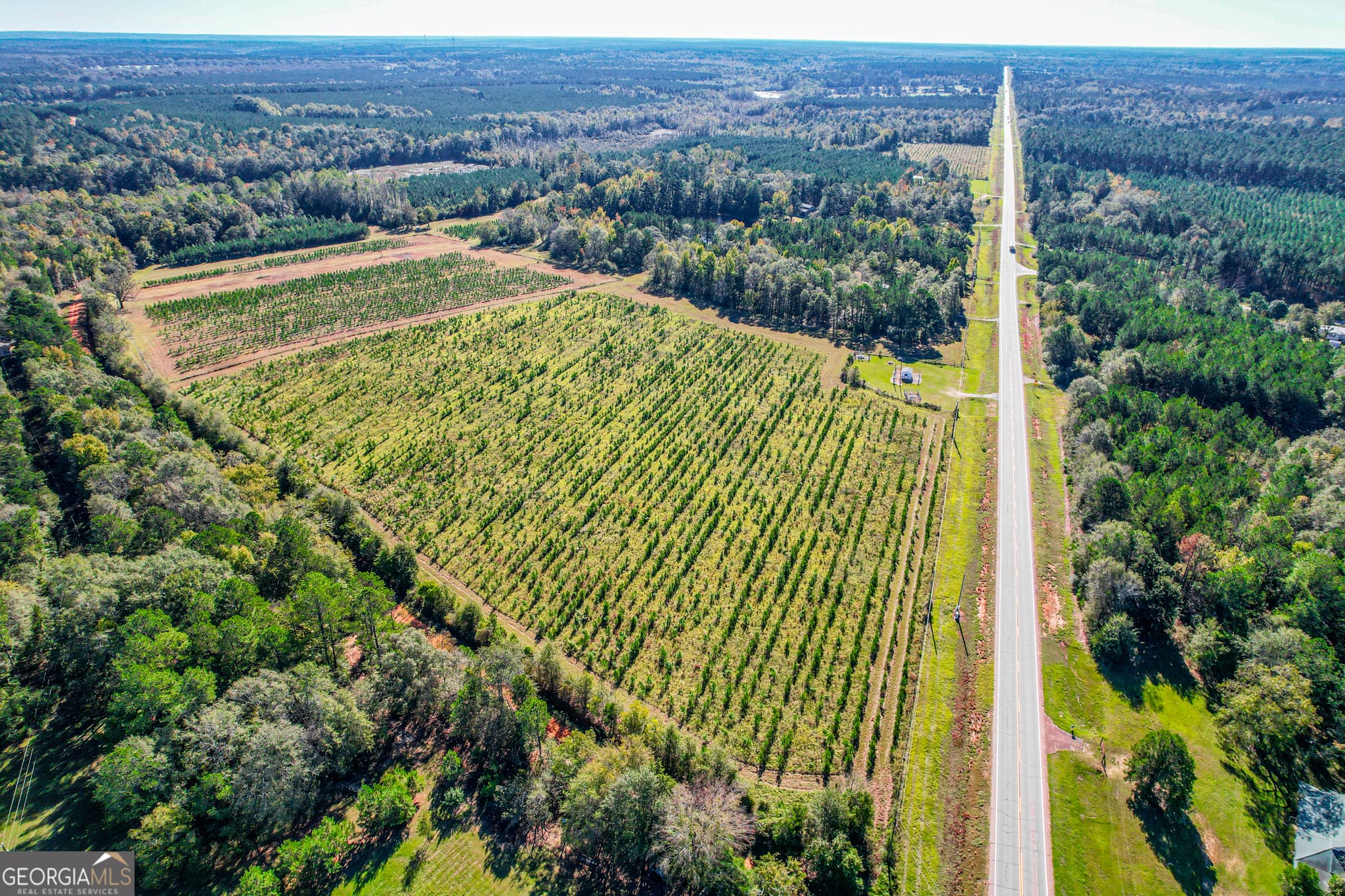 agriculture sold at 10072 Ga Highway 15, Warthen, GA 31094