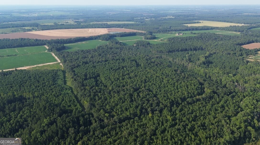 agriculture sold at 0 County Road 89, Black, AL 36314