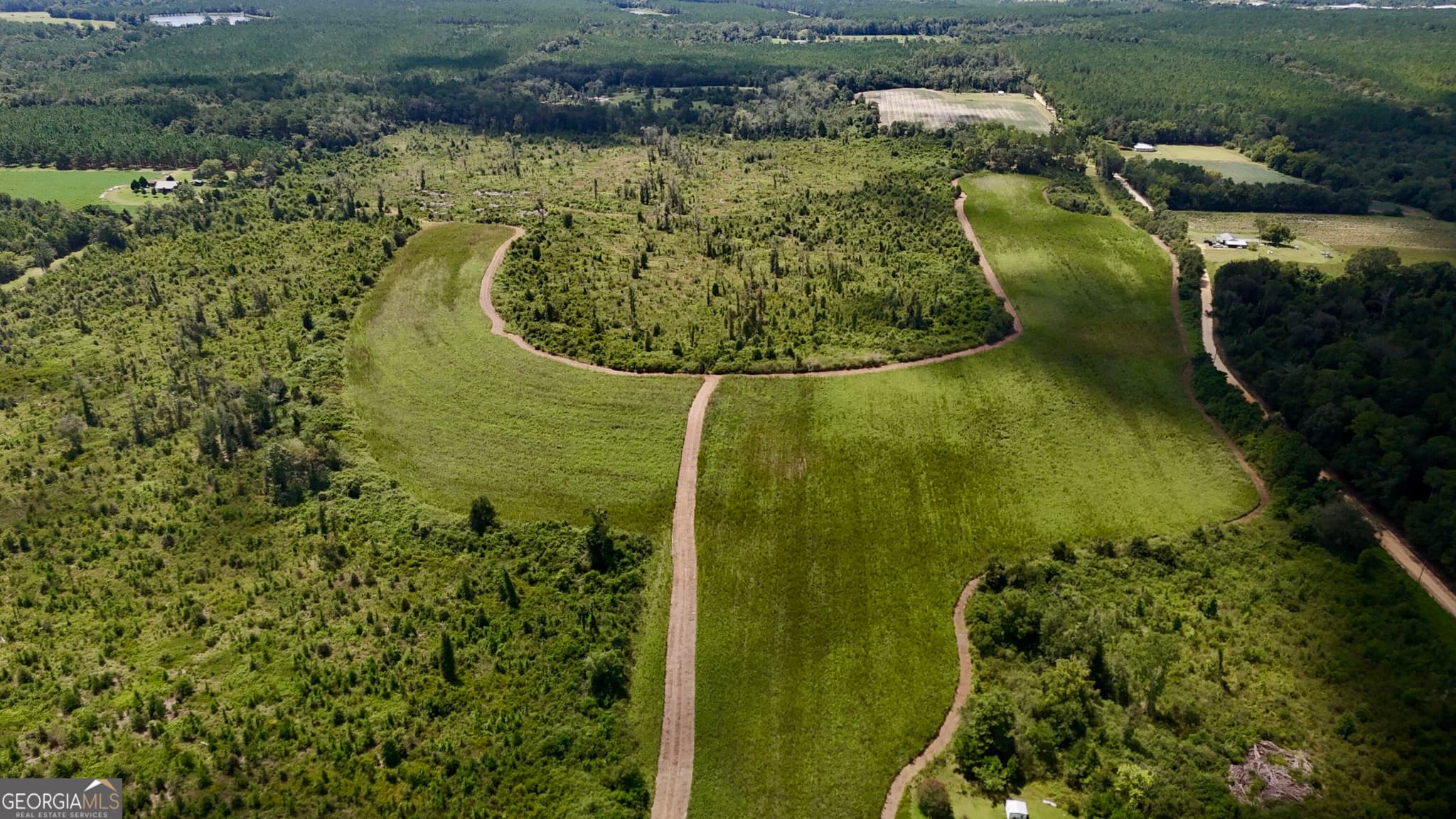 agriculture for sale at 6186 Harvey Road, Abbeville, GA 31001