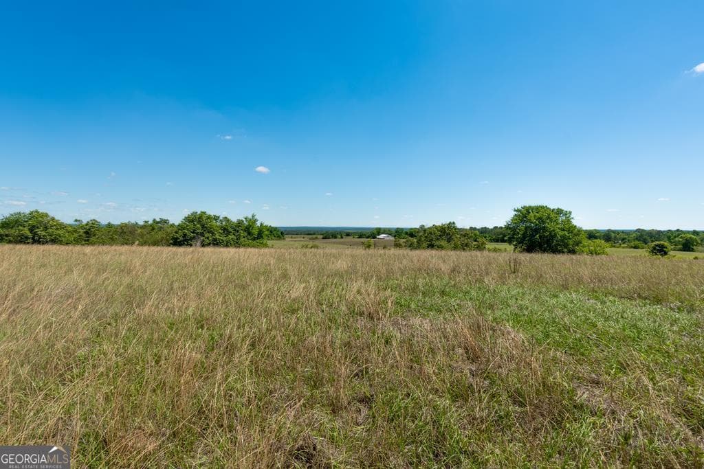 agriculture sold at 167 Hayes Road, Mauk, GA 31058