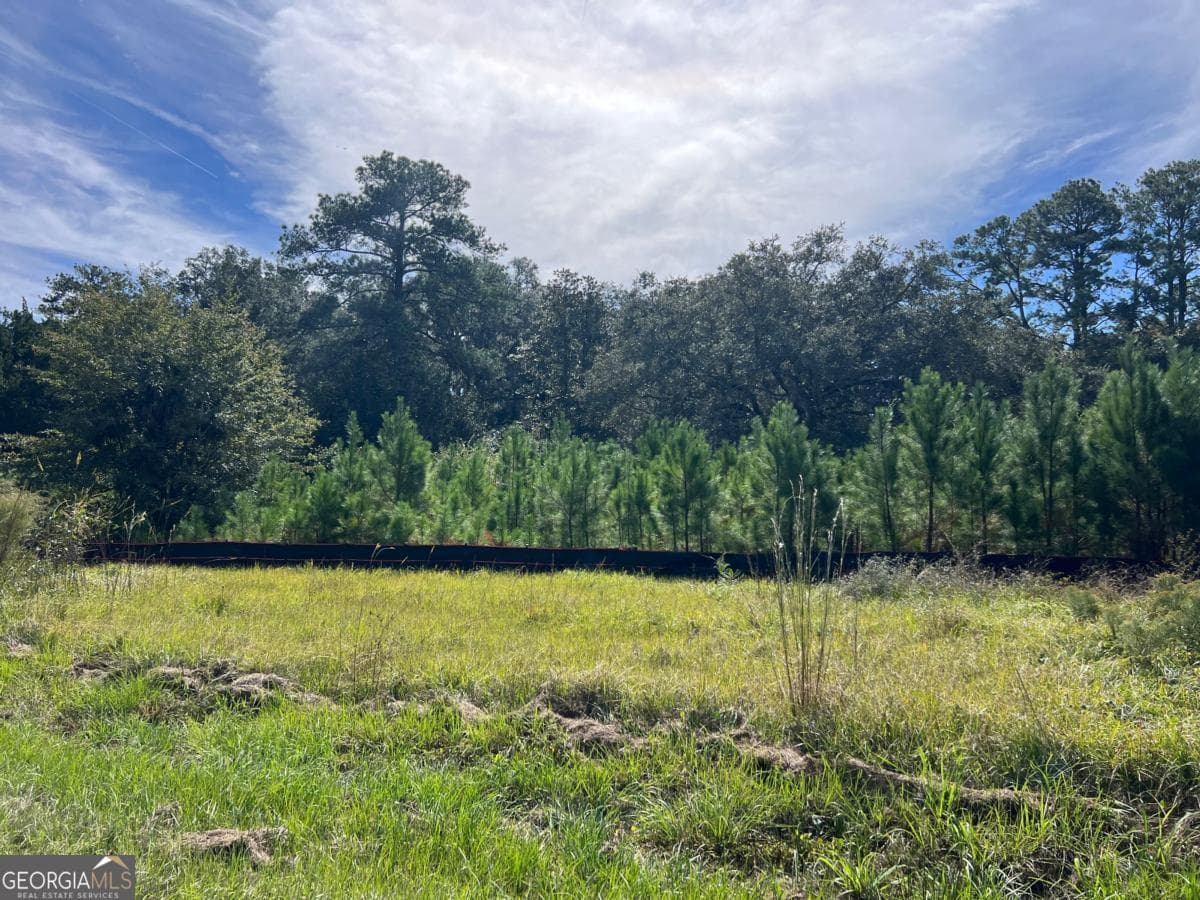 unimproved land for sale at 116 Smith Road, Brunswick, GA 31522