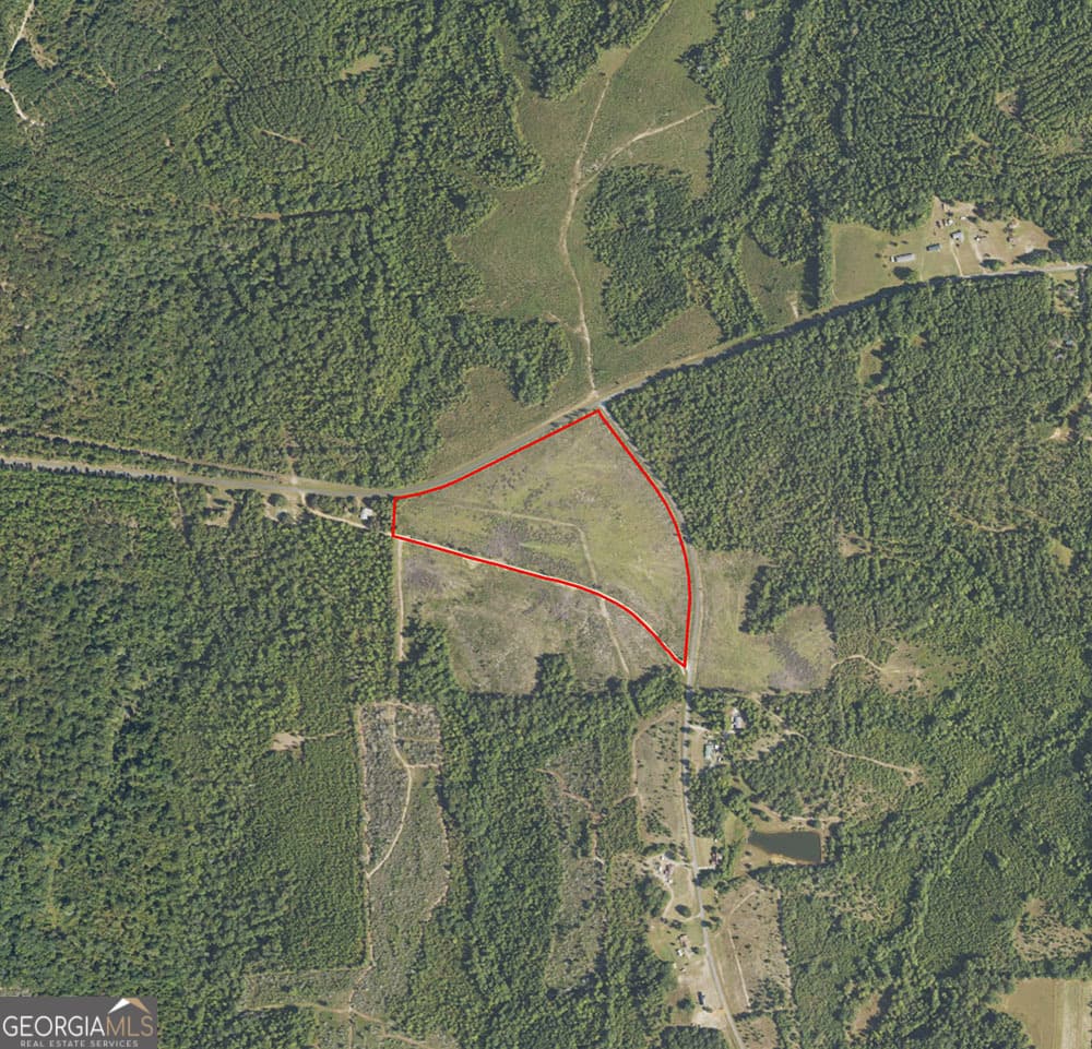 residential lot for sale at 1 C Pineville Road, Buena Vista, GA 31803