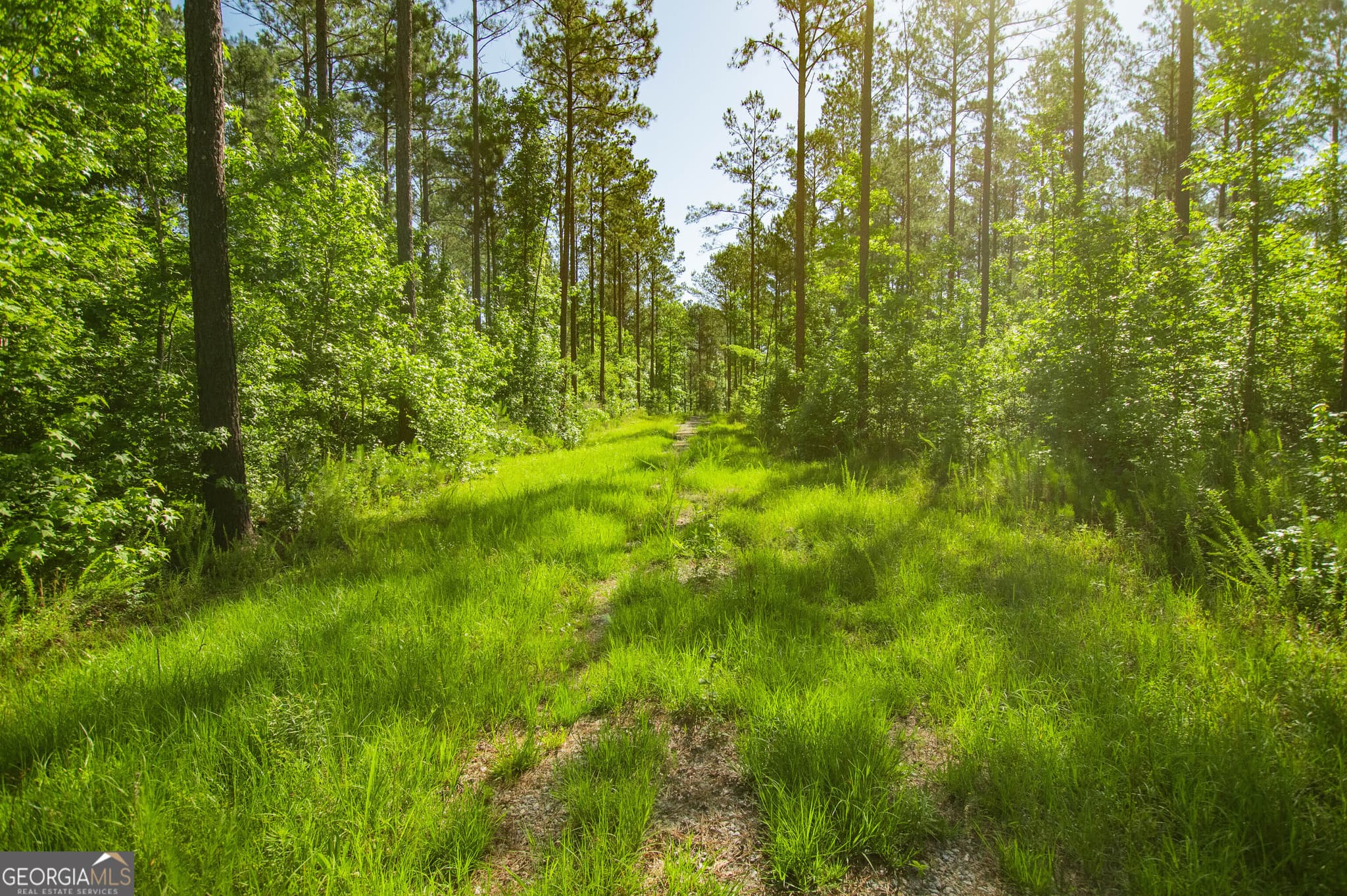 agriculture sold at 0 Weaver Jones Road, Rutledge, GA 30663