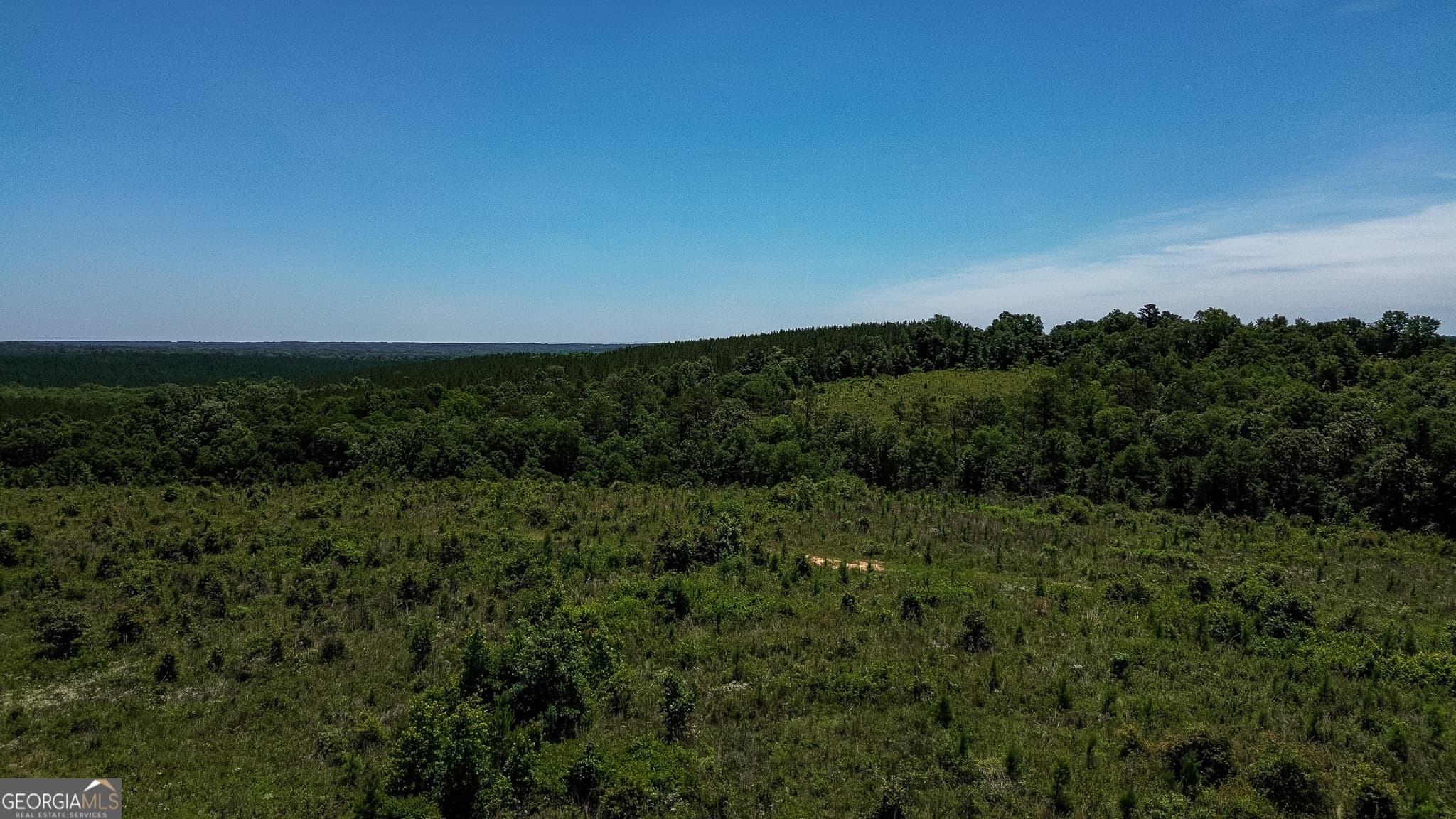 agriculture sold at 6687 Green Grove Road, Lumpkin, GA 31815