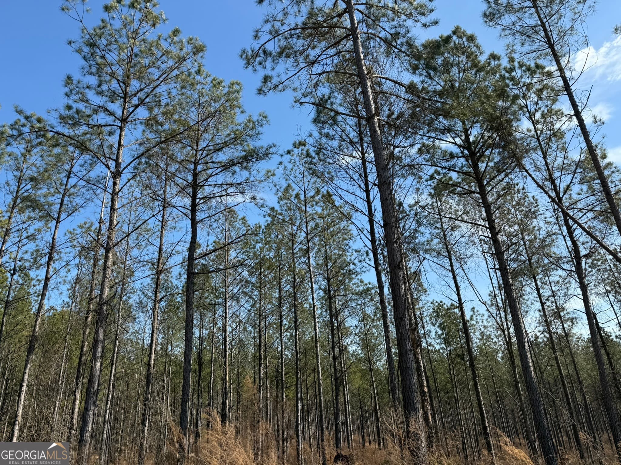 agriculture sold at 001 Allen Road, Musella, GA 31066