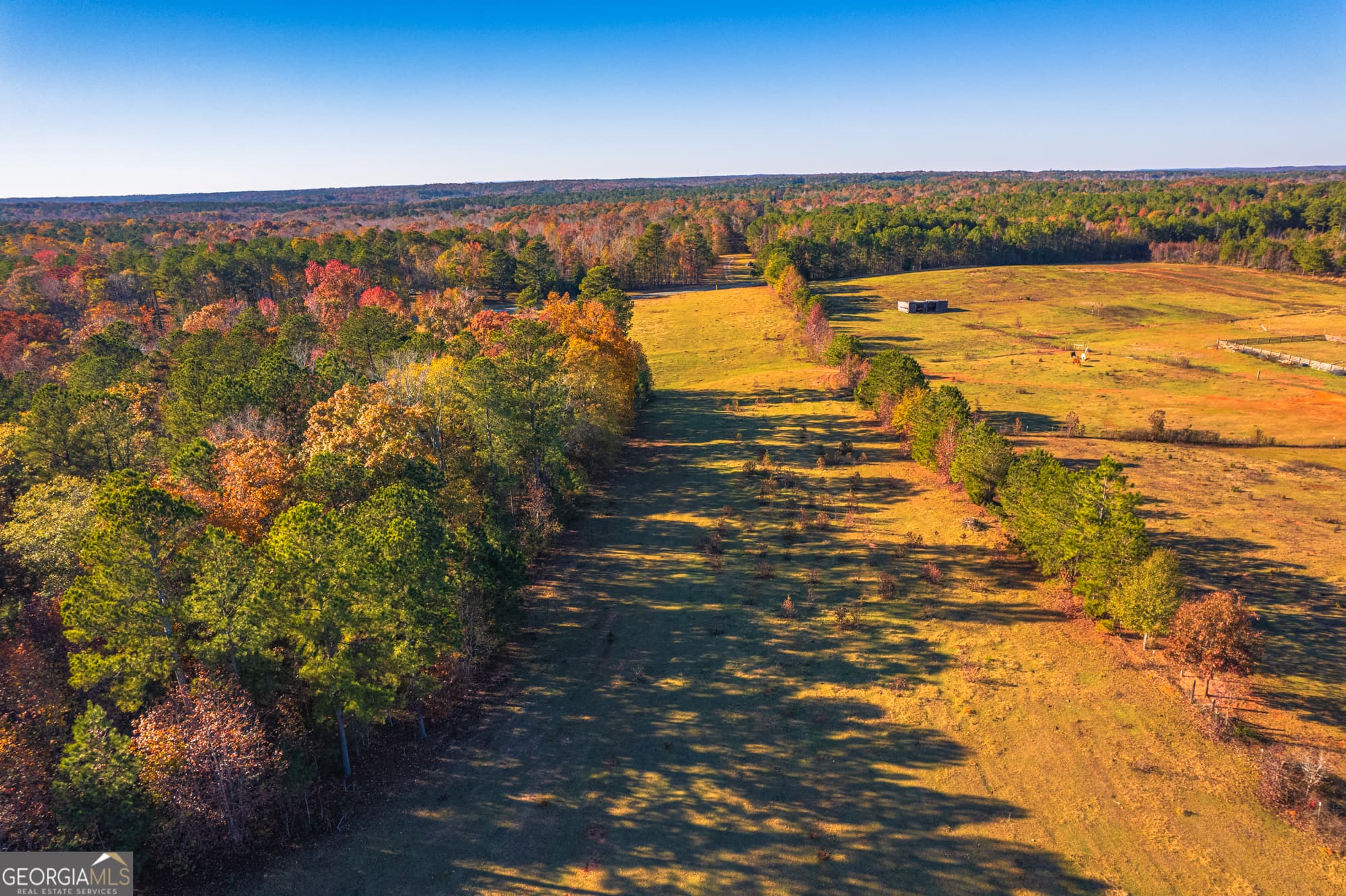 agriculture sold at 0 Pine Grove Church Road, Culloden, GA 31016