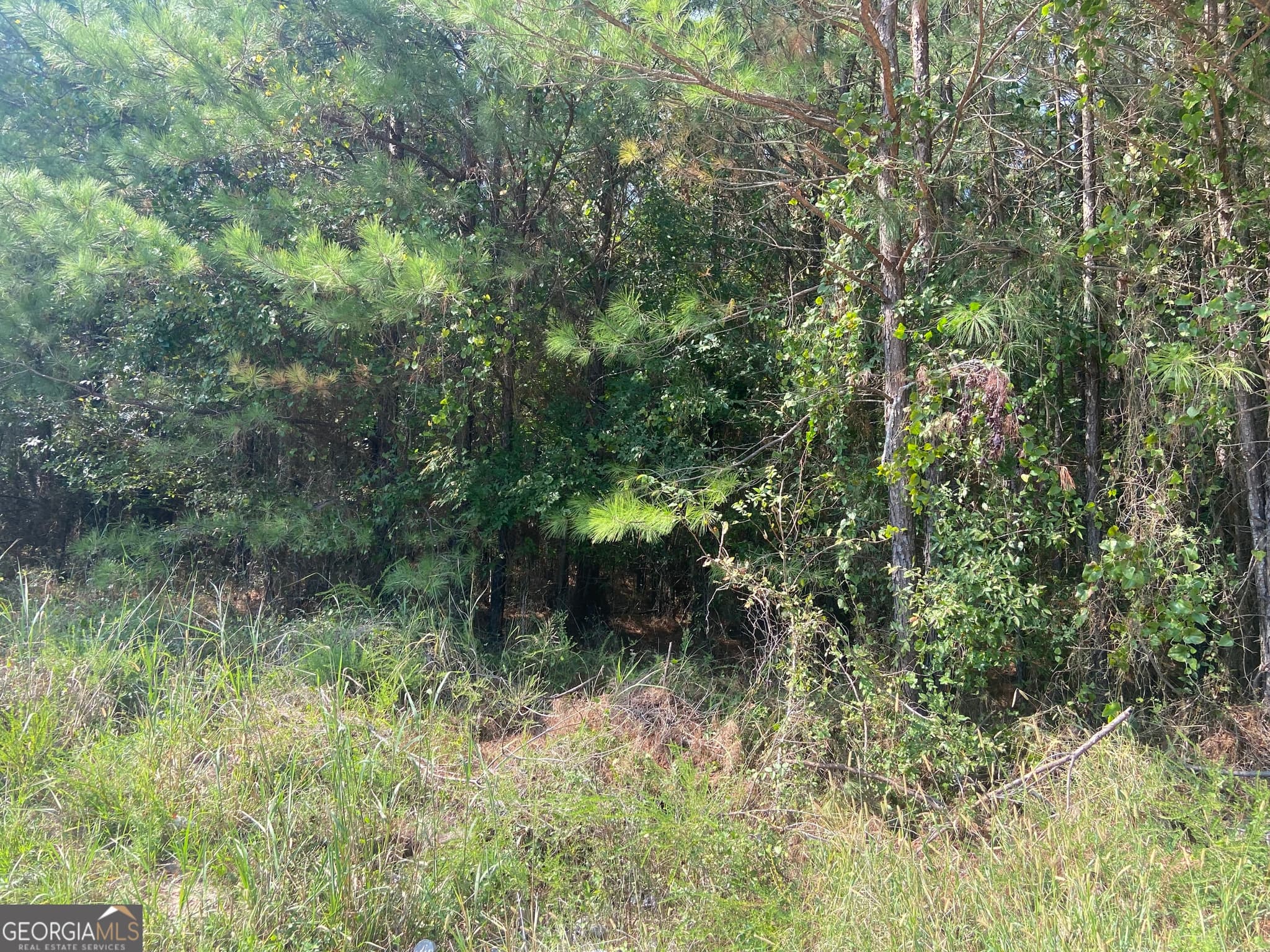 agriculture for sale at 0 Saggus Road, Crawfordville, GA 30631
