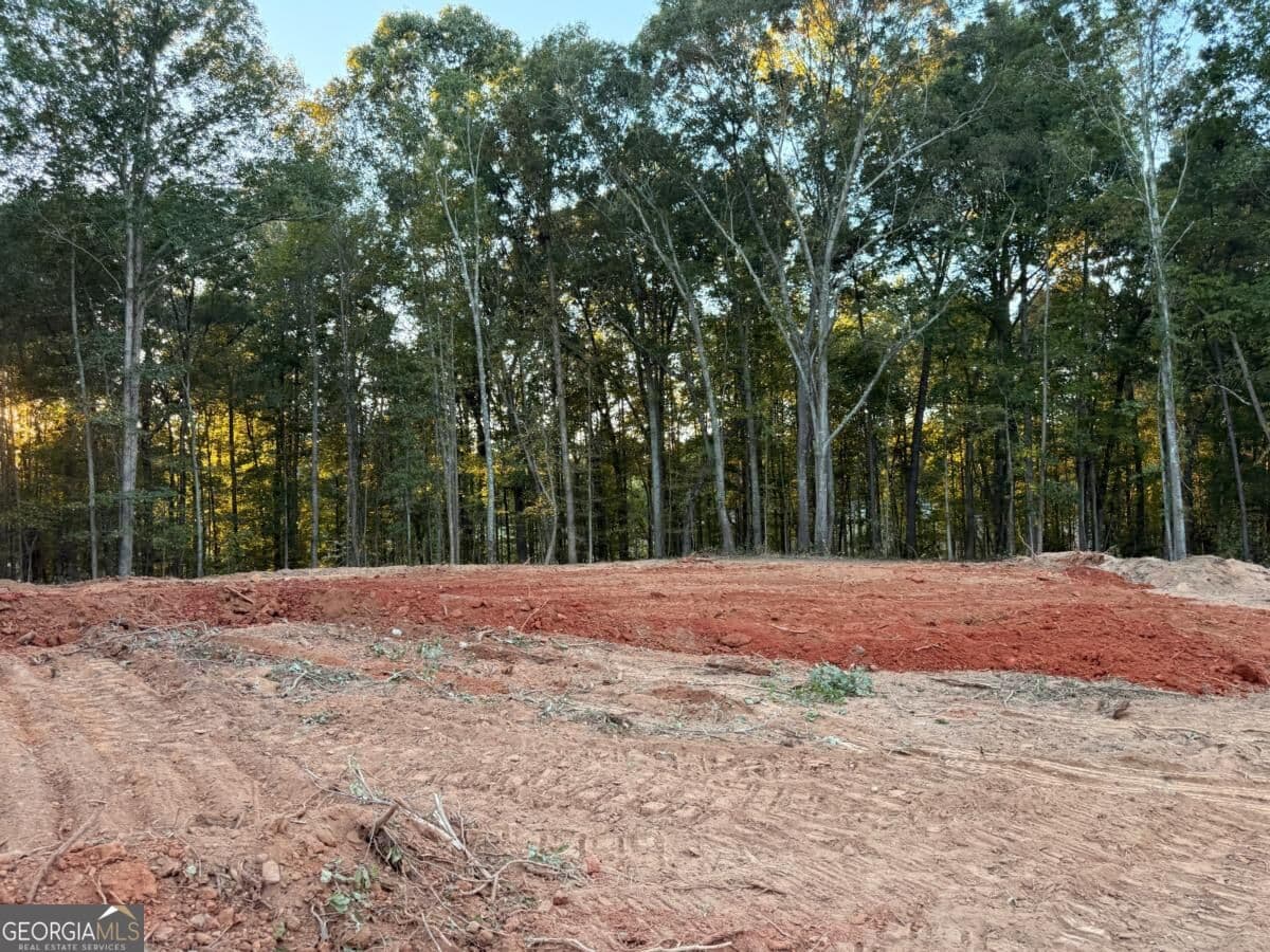 4 bedroom, 3.5 bathroom, 2,538 sq ft single family residence for sale at 37 Springtime Way, Monroe, GA 30655