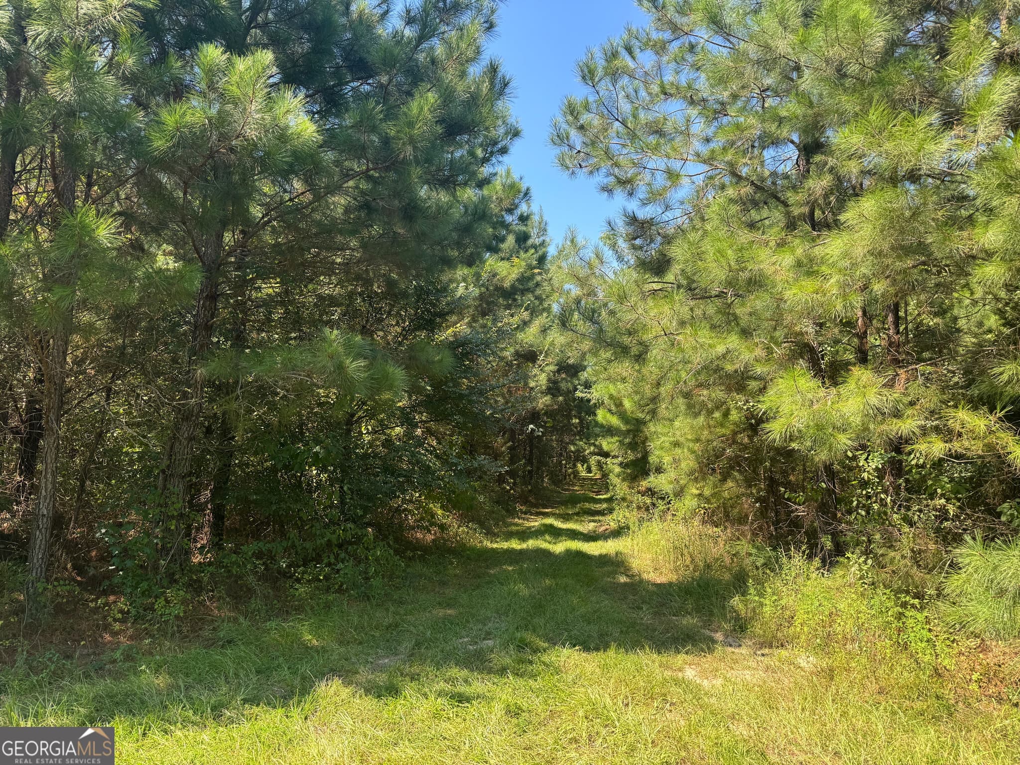 agriculture sold at 002 Cleghorn Drive, Tallassee, AL 36078
