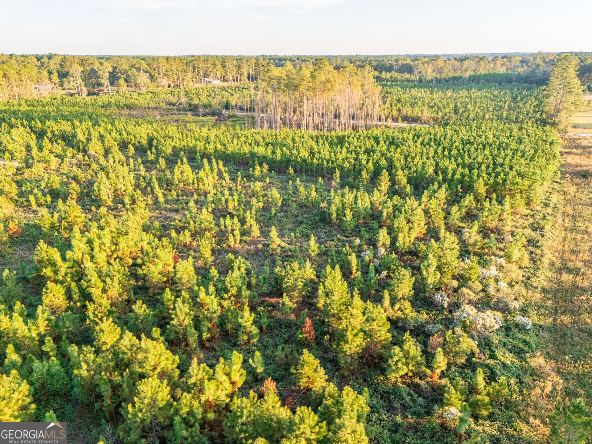 agriculture sold at 0 Nursery Road, Blackshear, GA 31516