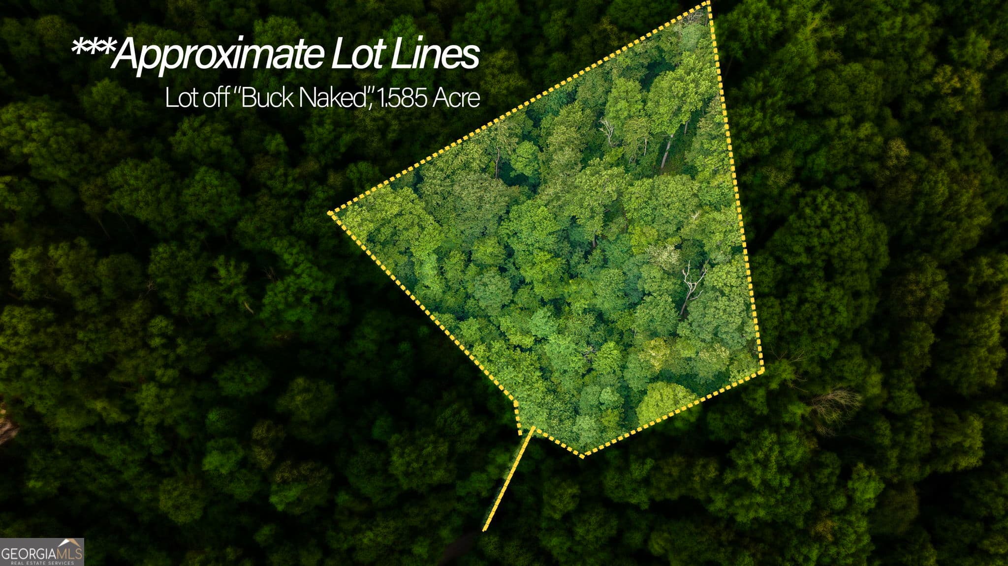 residential lot for sale at LOT OFF Buck Naked NA, Bryson City, NC 28713