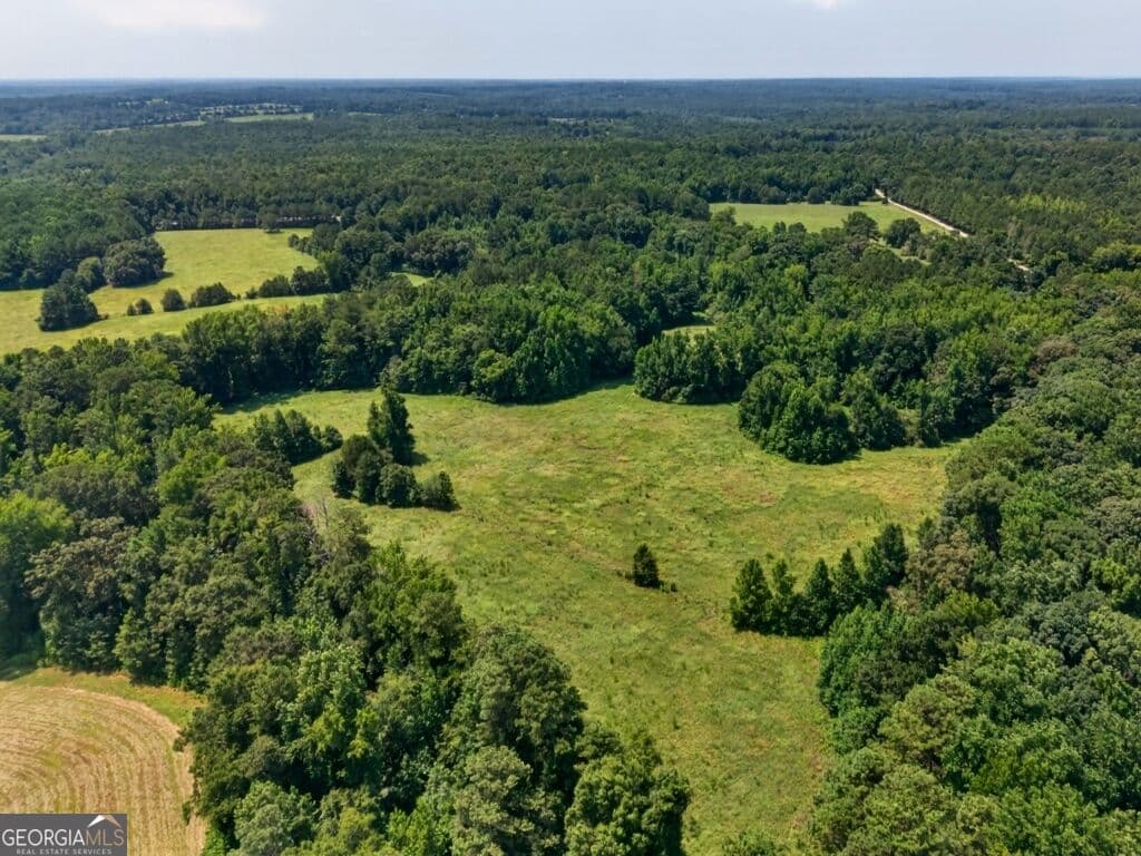 agriculture for sale at 1744 Alexander Road, Monticello, GA 31064