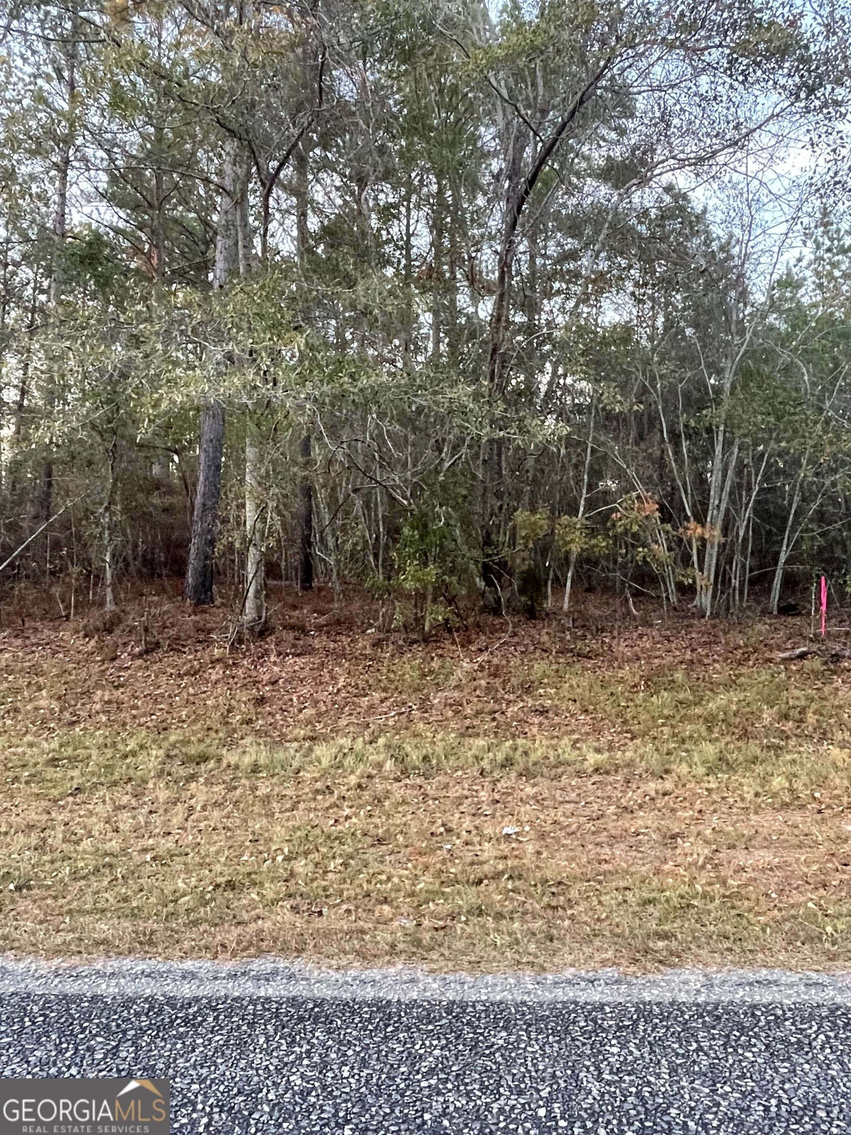 residential lot for sale at 0 CANOOCHEE BYPASS Road, Twin City, GA 30471