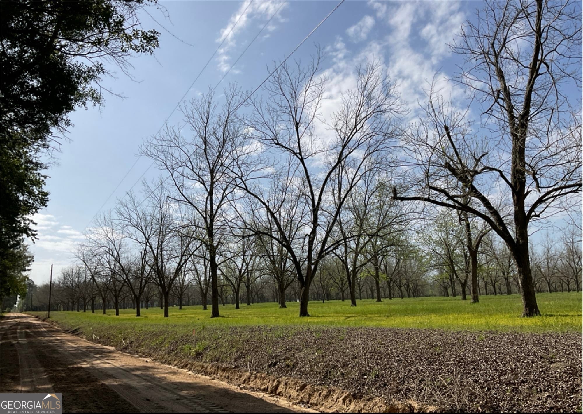 agriculture for sale at 2761 Lake Lannell Road, Odum, GA 31555
