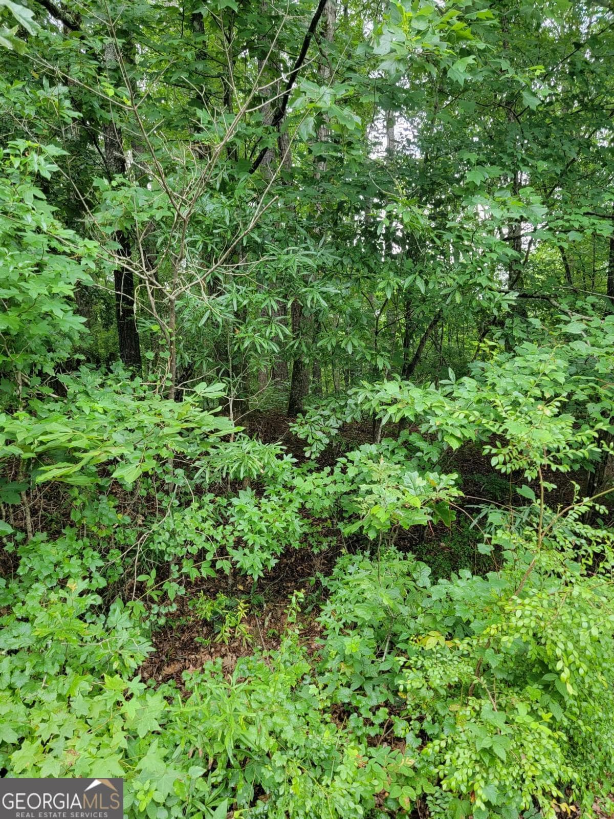 agriculture sold at 228 Deerwood Circle, Griffin, GA 30223