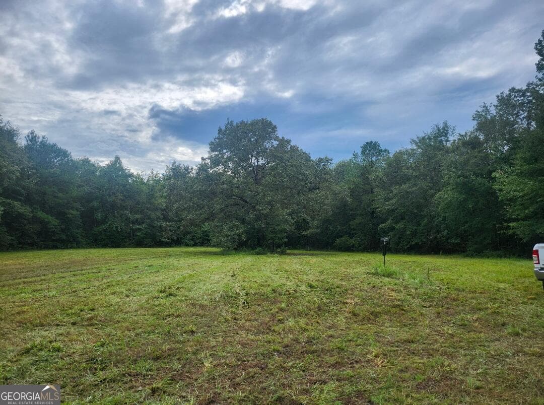 agriculture for sale at 0 Lewis Station Road, Sylvania, GA 30467