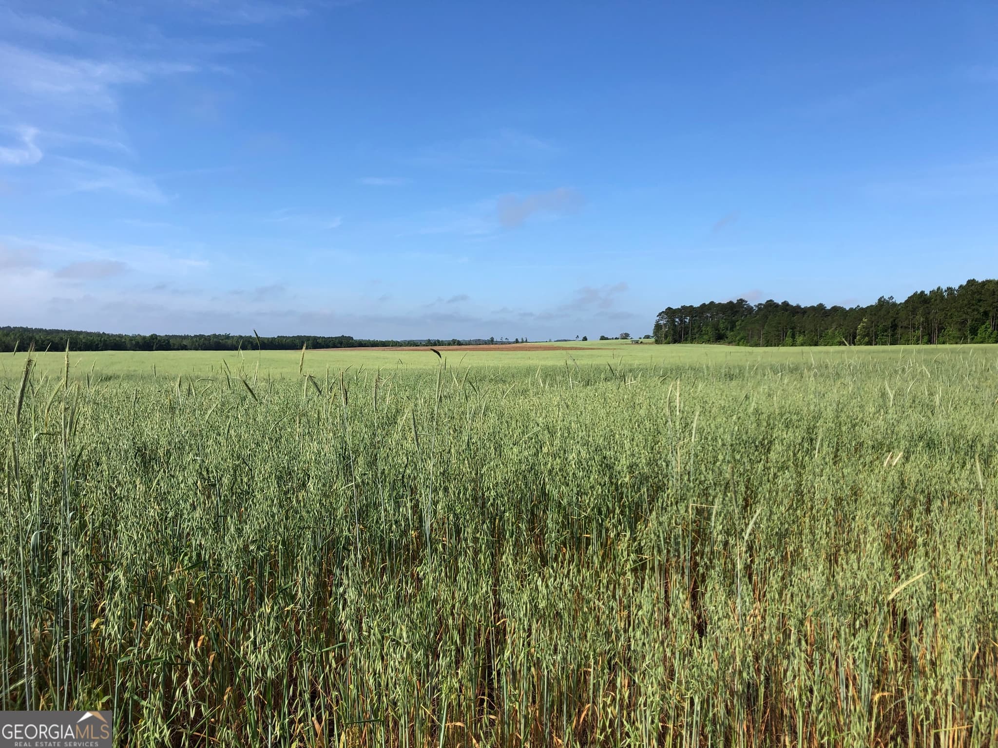 agriculture under contract at 0 Hwy 257, Chester, GA 31012