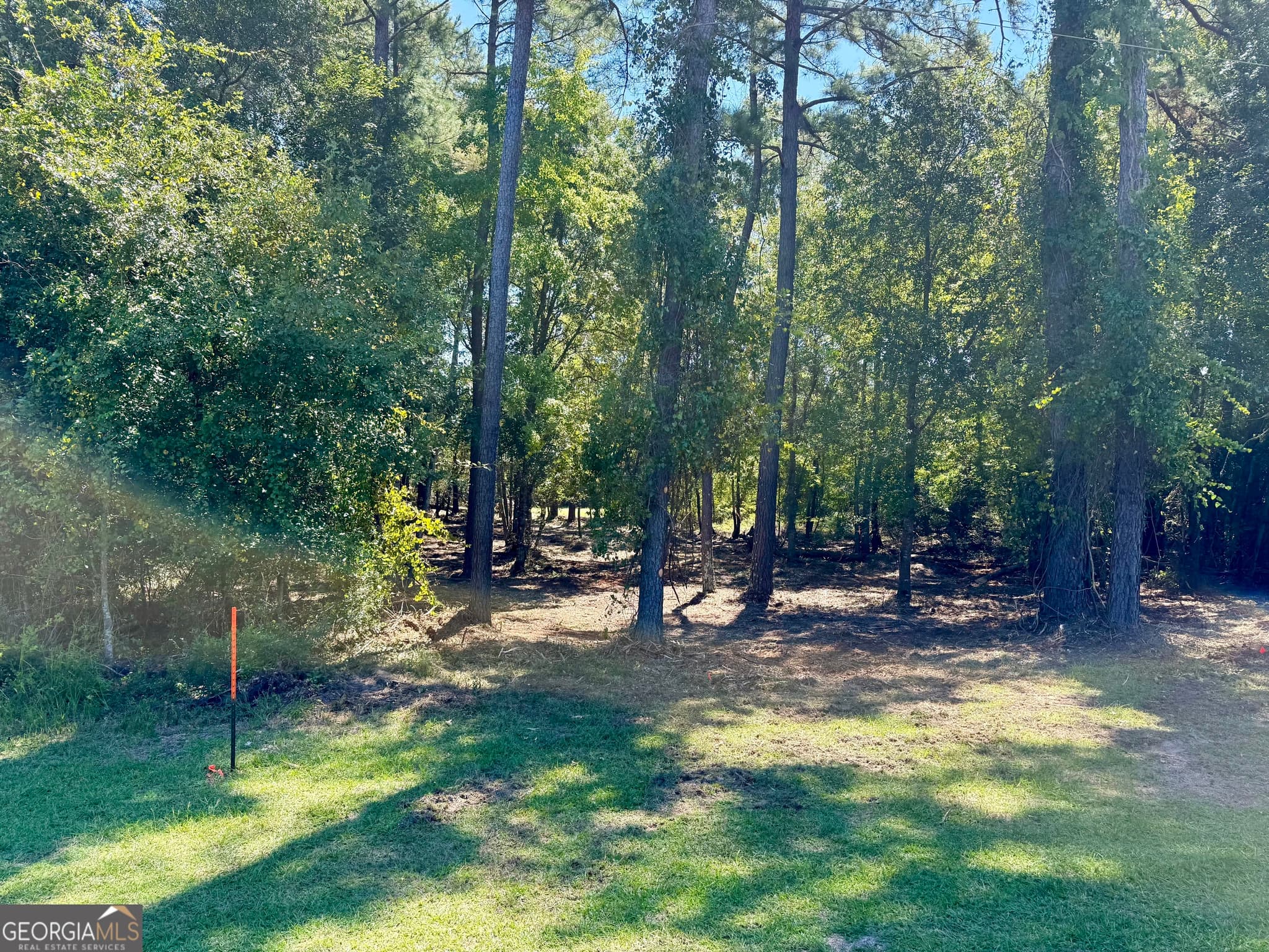 residential lot for sale at 0 Friendship Road, Sylvania, GA 30467