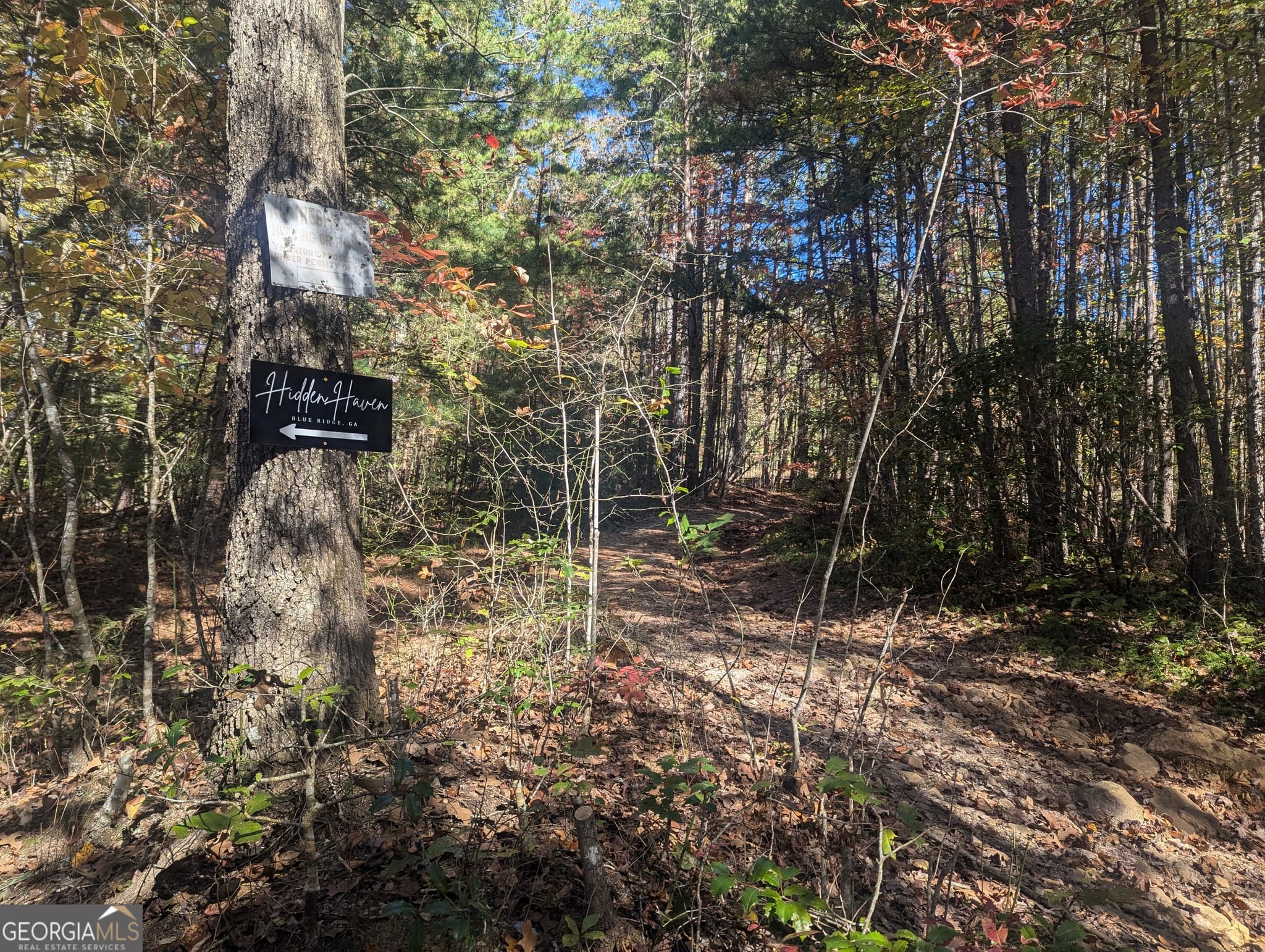 agriculture for sale at 26.89 AC Shadow Lane, Blue Ridge, GA 30513