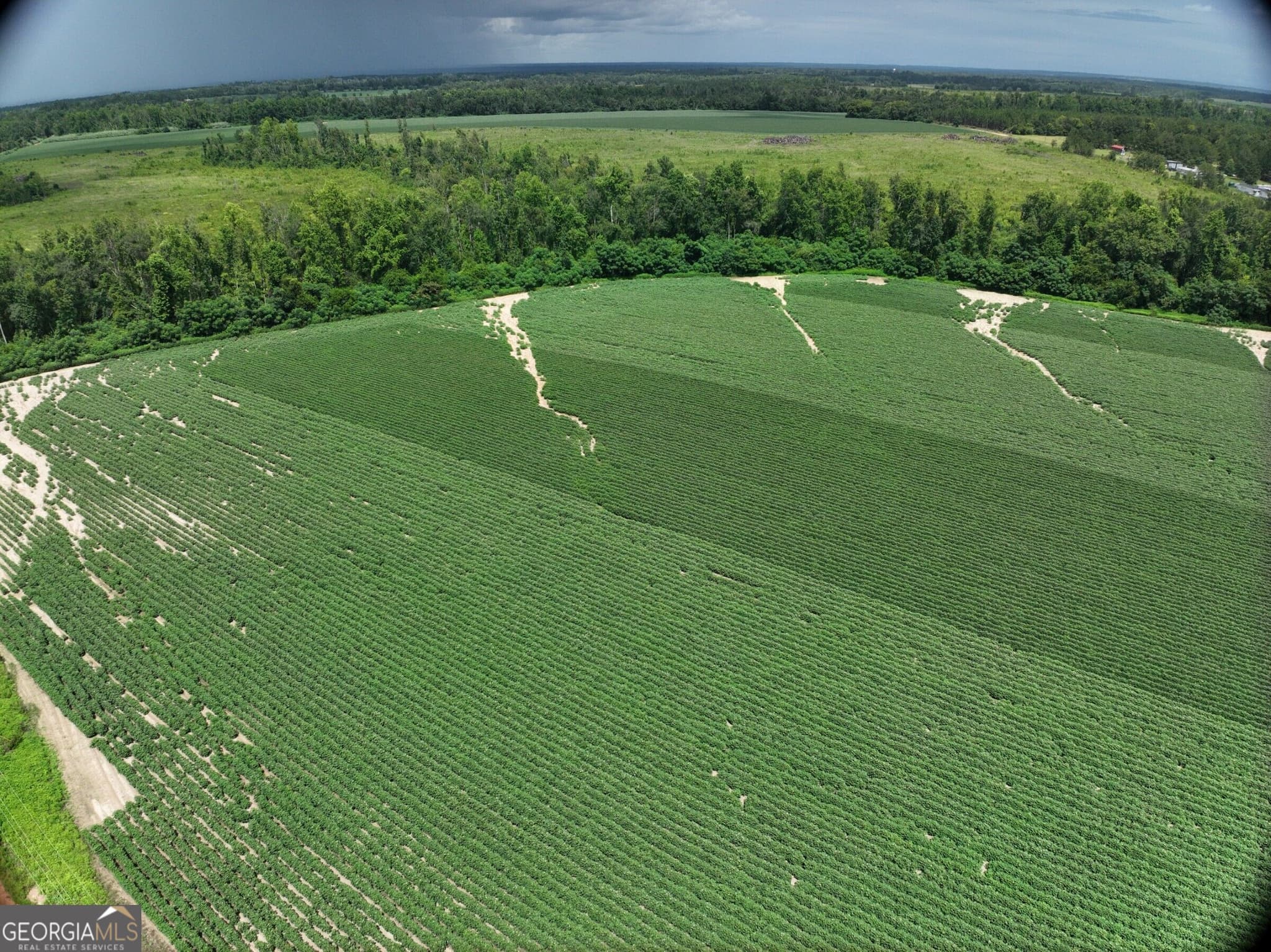 agriculture for sale at 0 Leman Road, Oak Park, GA 30401