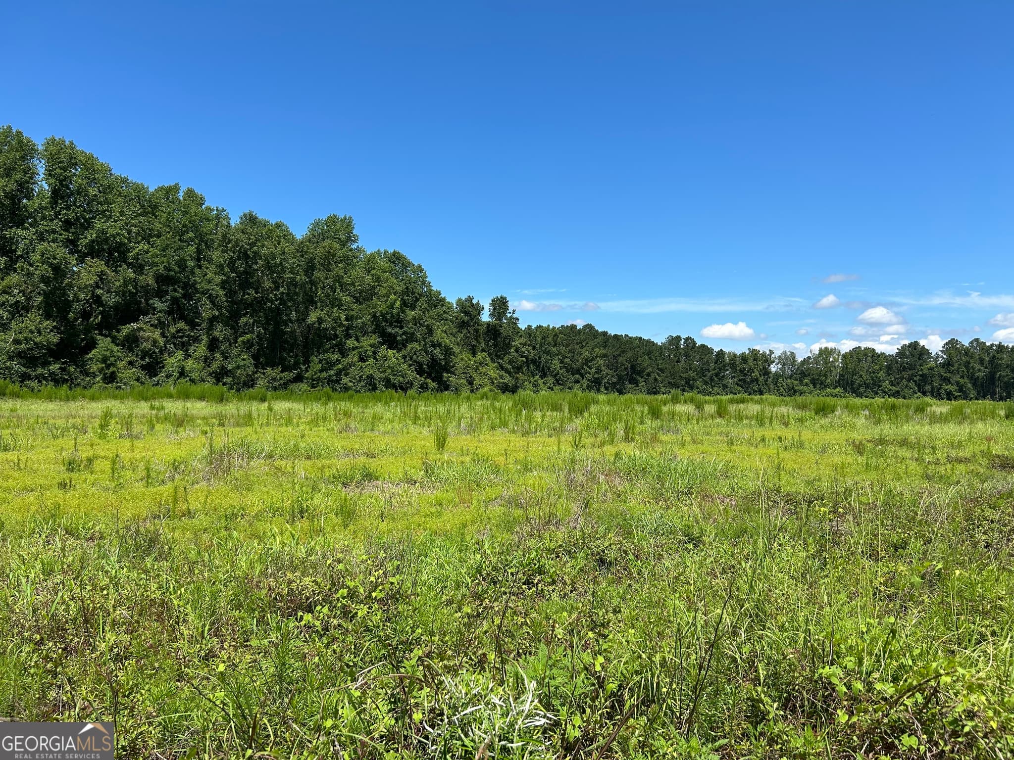 agriculture sold at LOT 2 Cleary Road, Brooklet, GA 30415