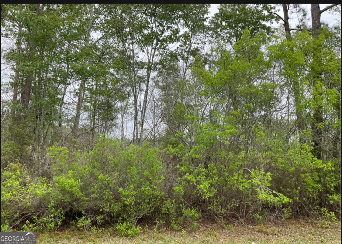 agriculture for sale at 0 1601AC TRACT 4, Townsend, GA 31331
