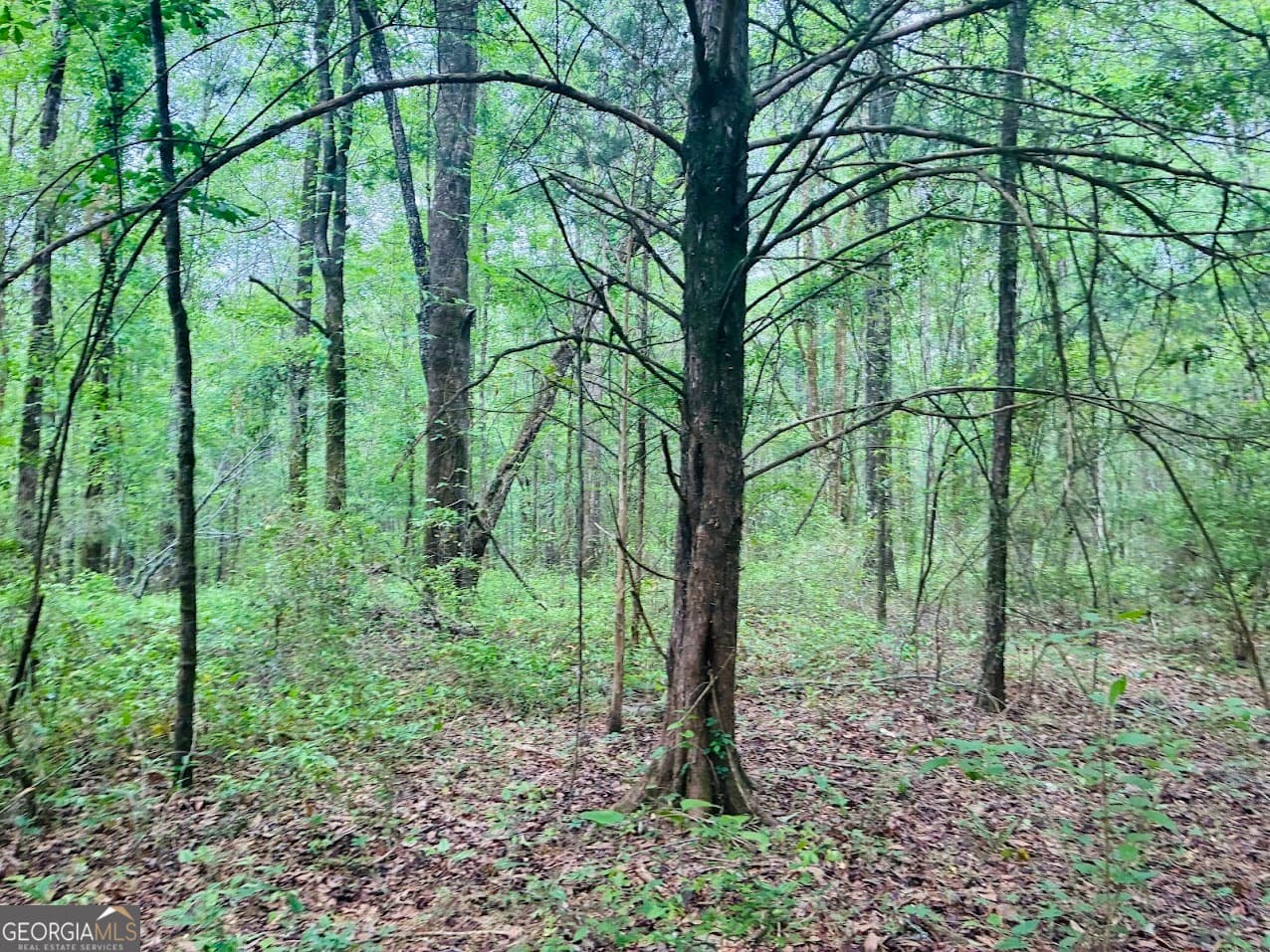 agriculture sold at 0 Wall Street TRACT B, Tallassee, AL 36078