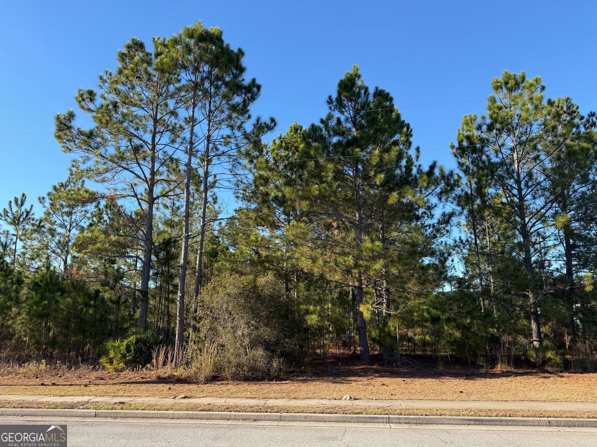unimproved land for sale at 0 Weeping Willow Drive, Hinesville, GA 31313