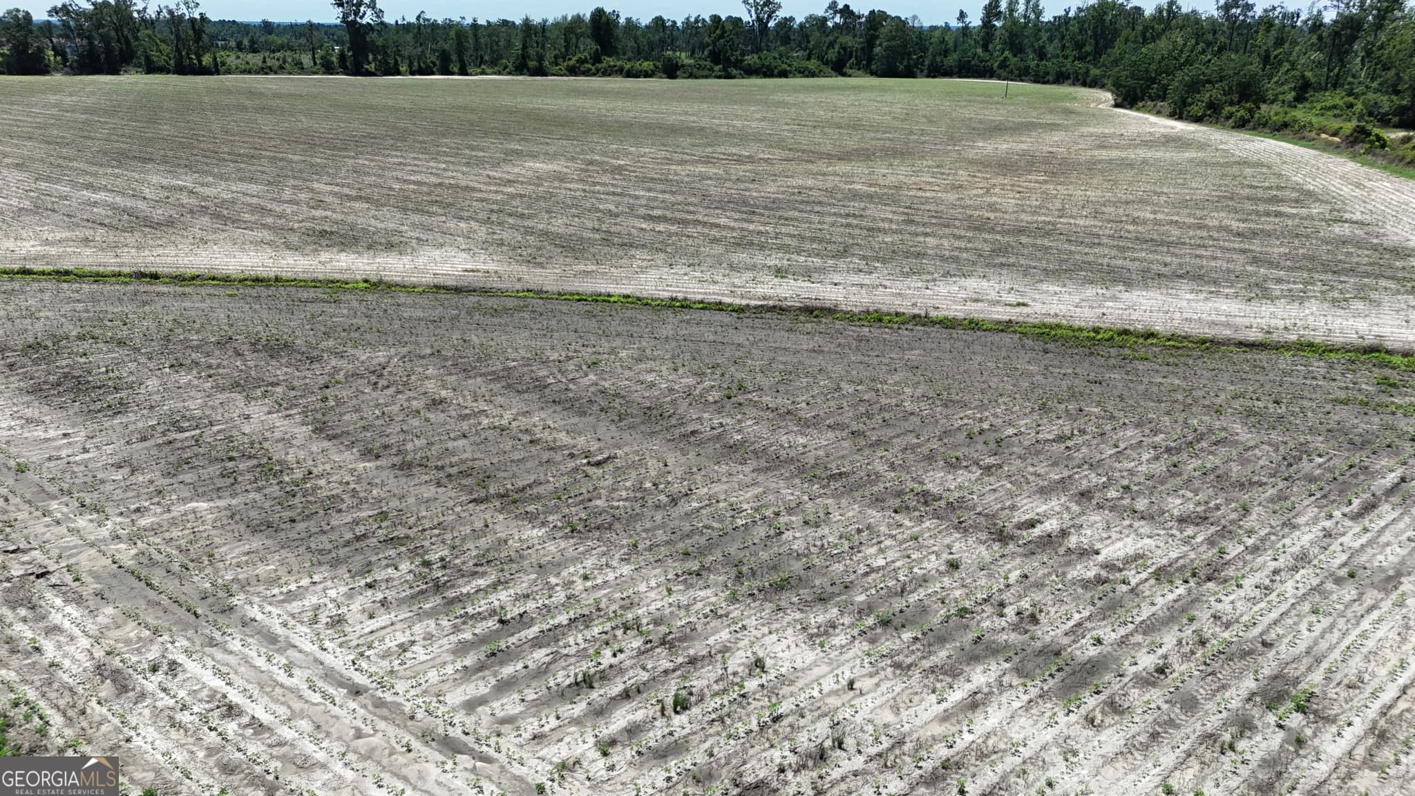 agriculture sold at 08600022T1 Redbird Road, Lumber City, GA 31549