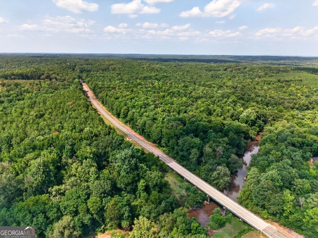 unimproved land for sale at 0 Highway 42, Forsyth, GA 31029
