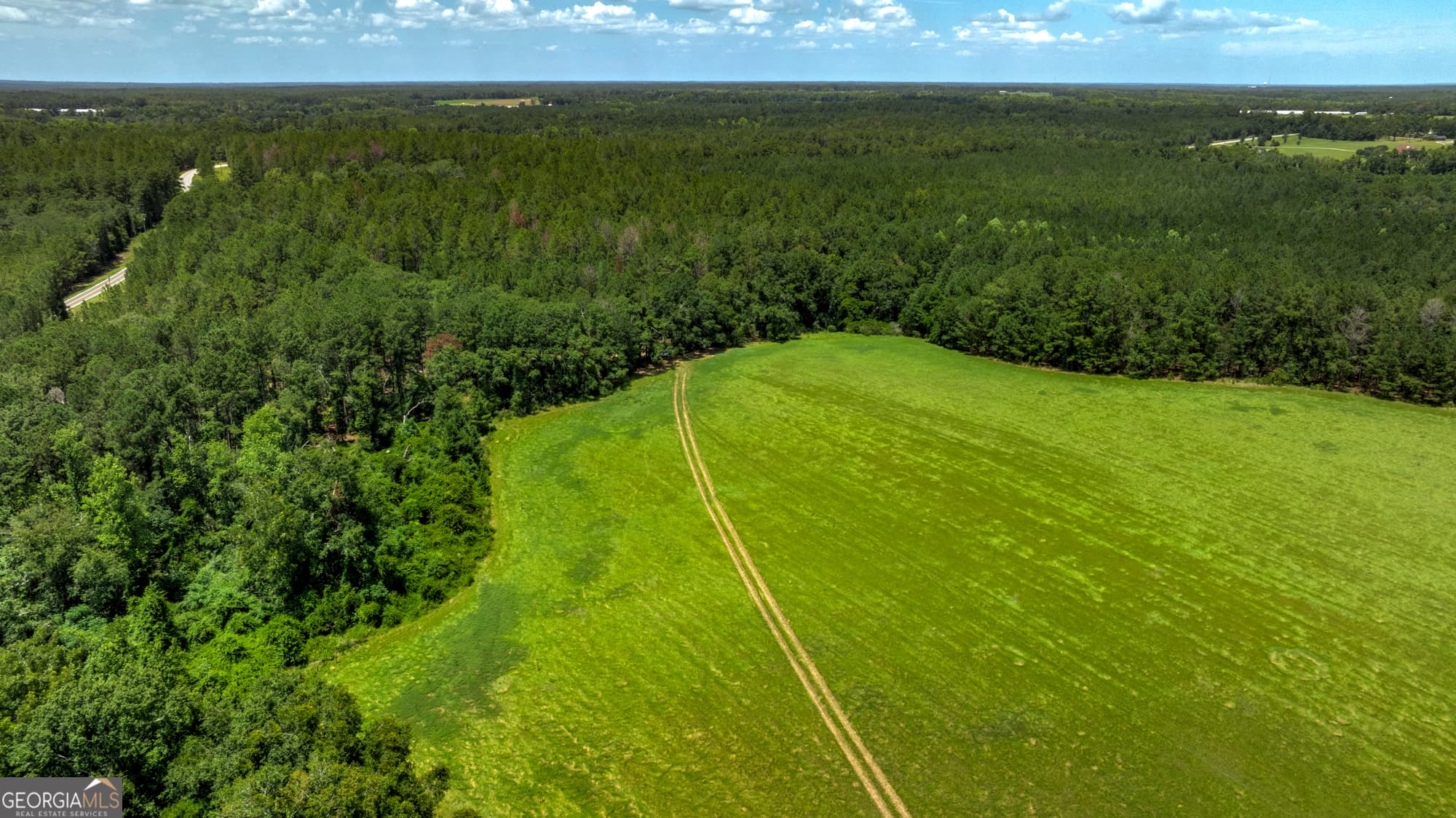 agriculture for sale at 0 Wallace Parker Drive, Claxton, GA 30417