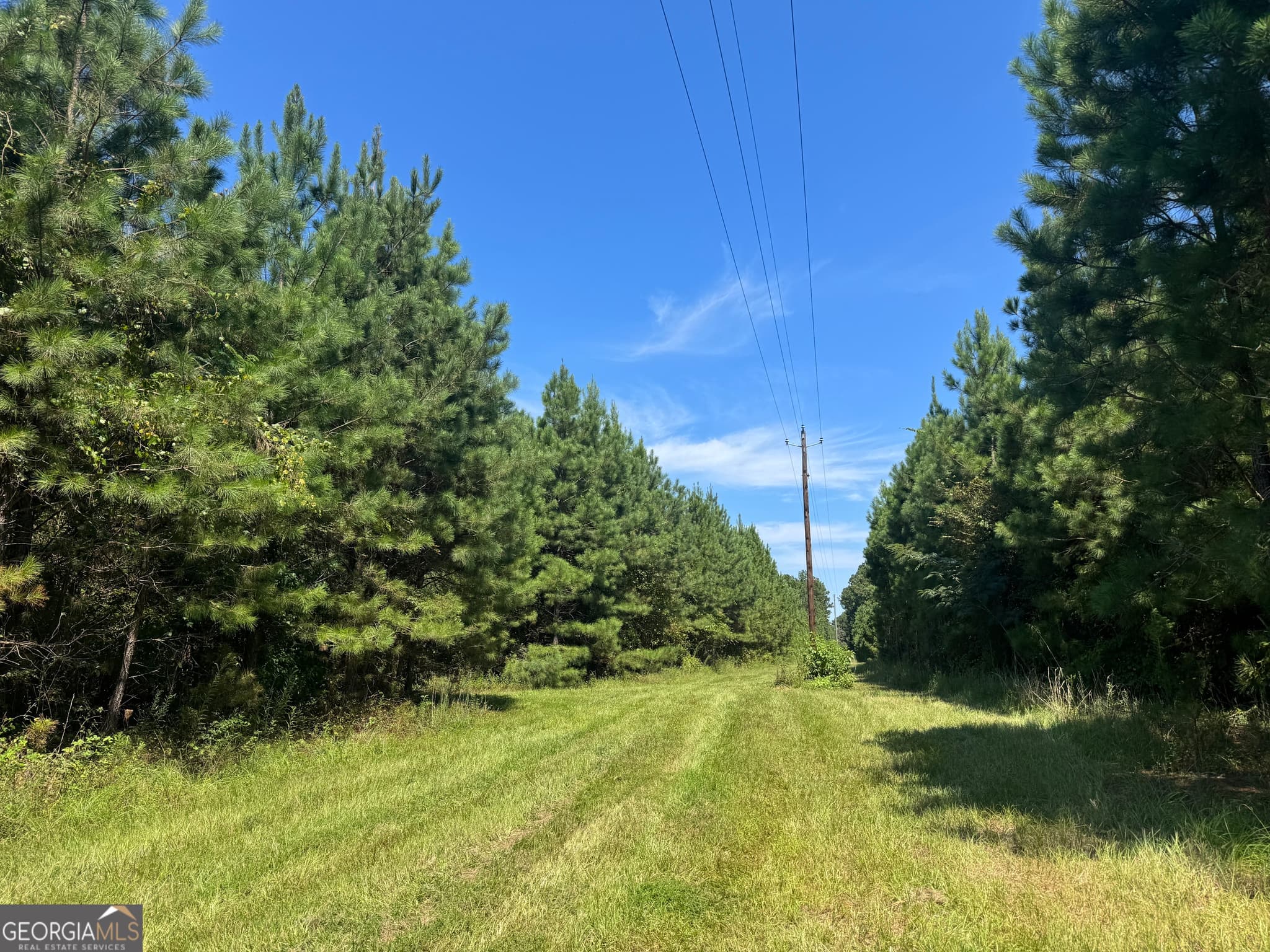 agriculture sold at 001 Cleghorn Drive, Tallassee, AL 36078
